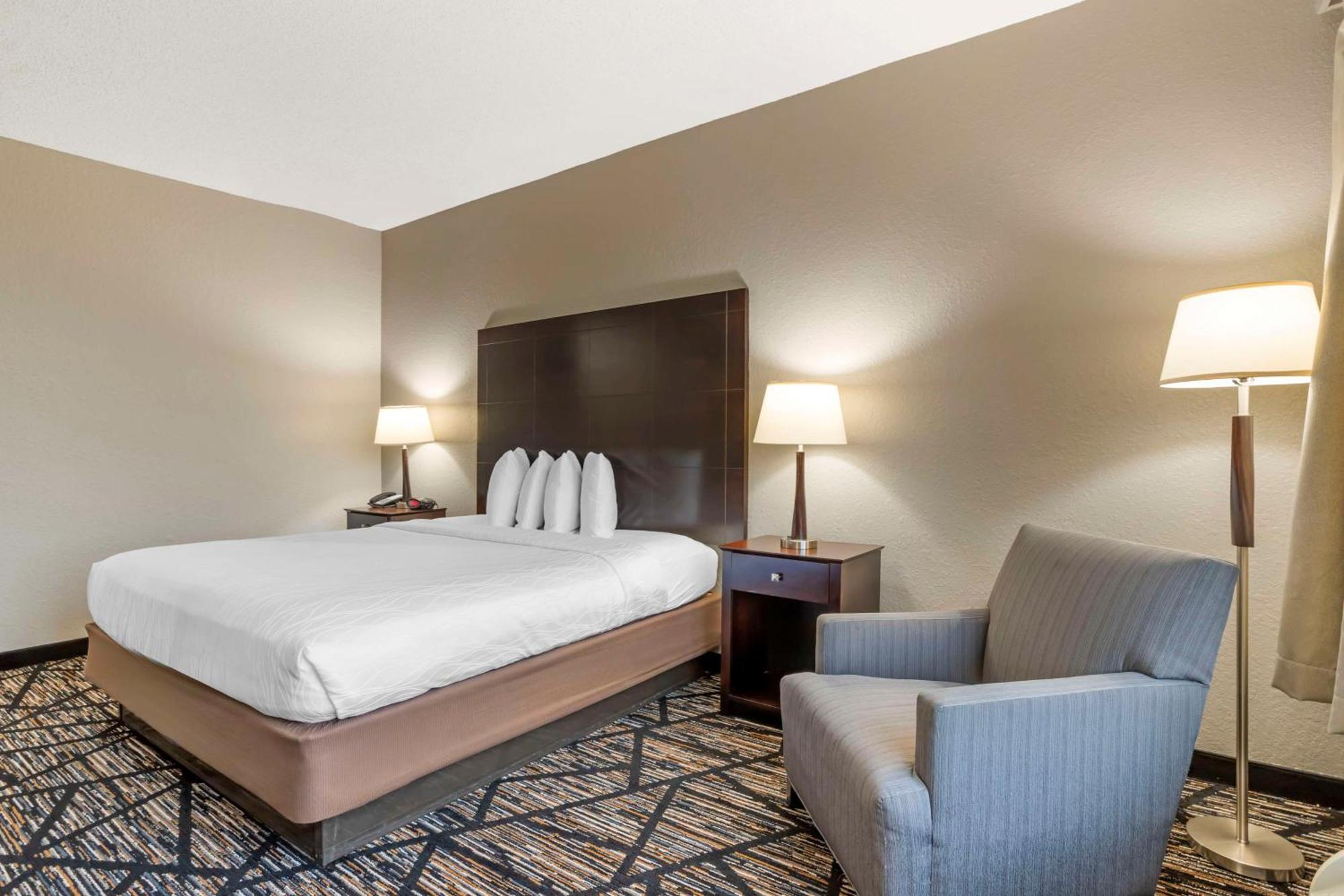 King Room