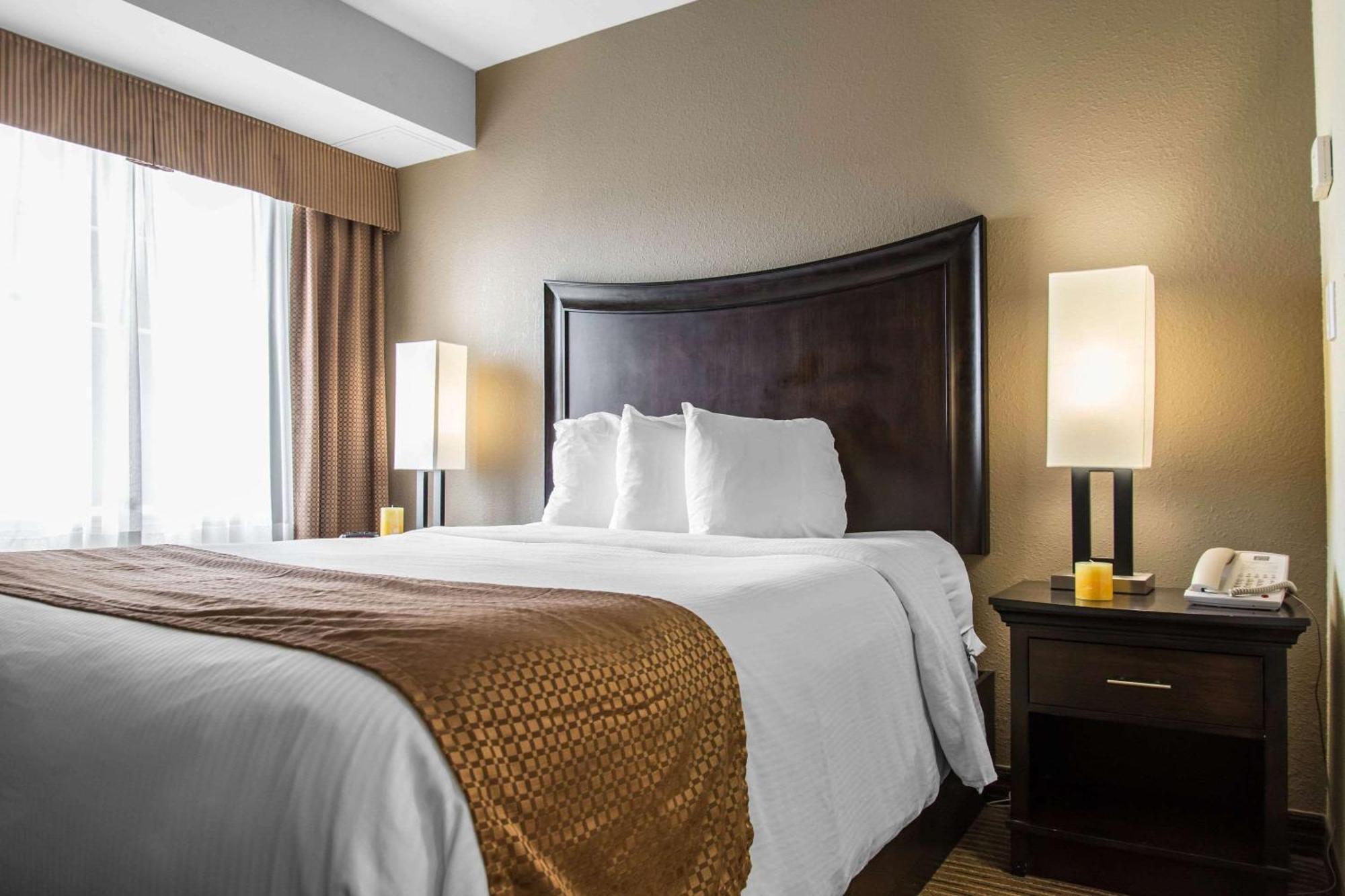 Queen Suite