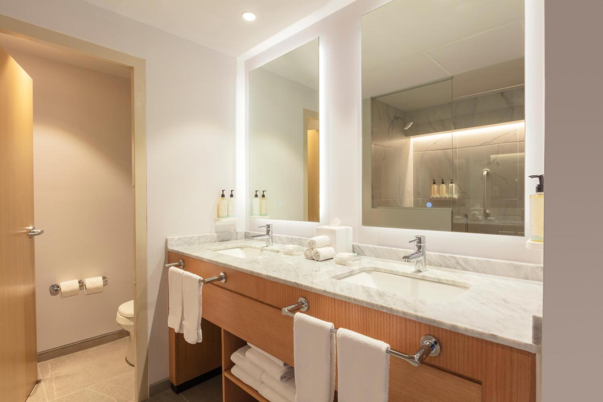 One-Bedroom King Suite Airport View