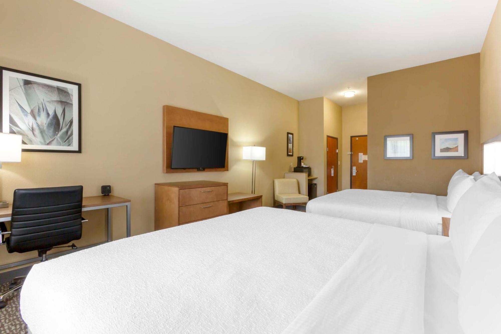King Room Two King Beds