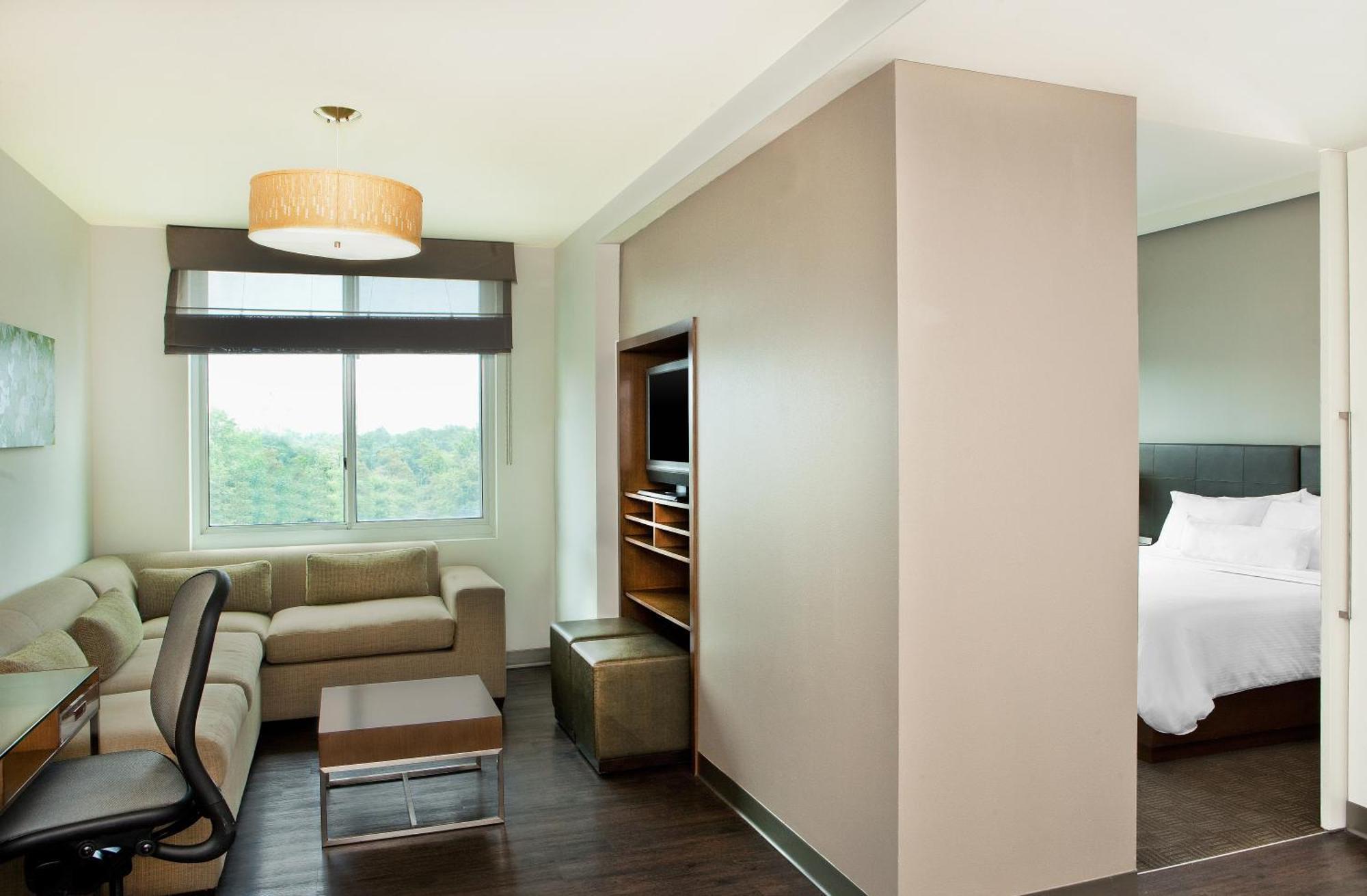 1 Bedroom Suite 1 King Sofa bed