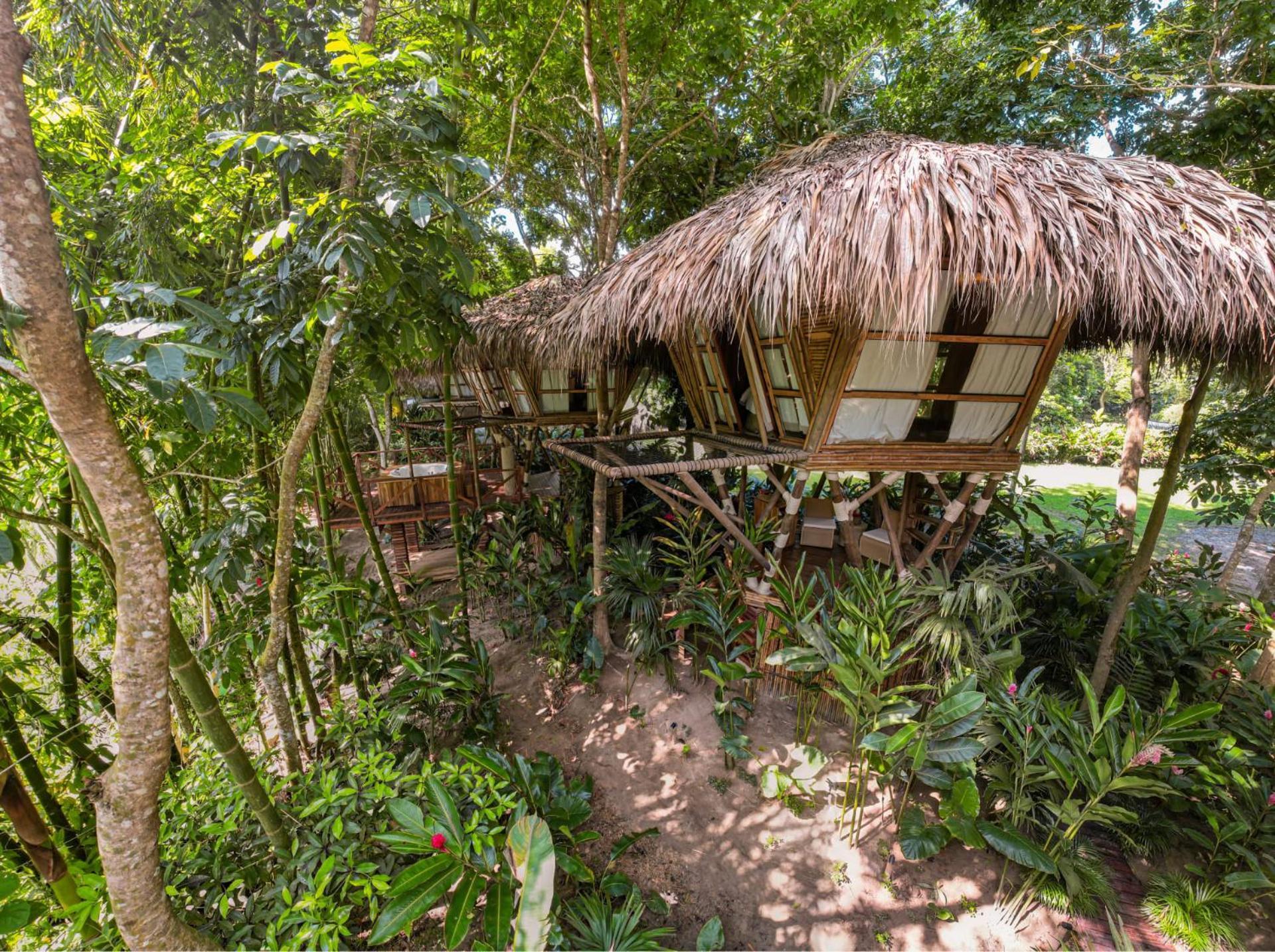 Suite Estándar
