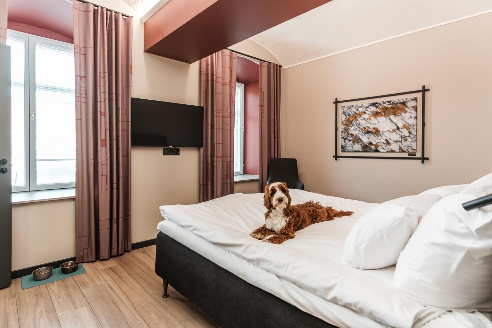 Standard Pet Room