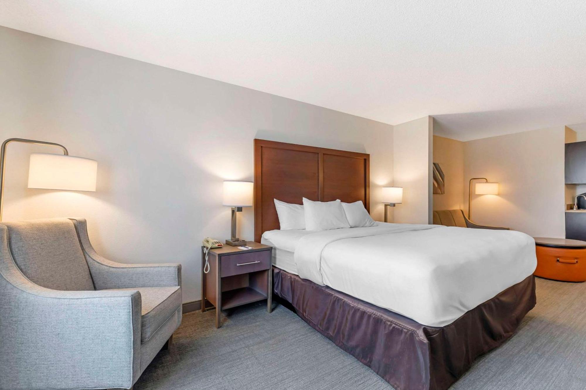 King Suite with Accessible Tub and Sofa Bed - Accessible/Non Smoking