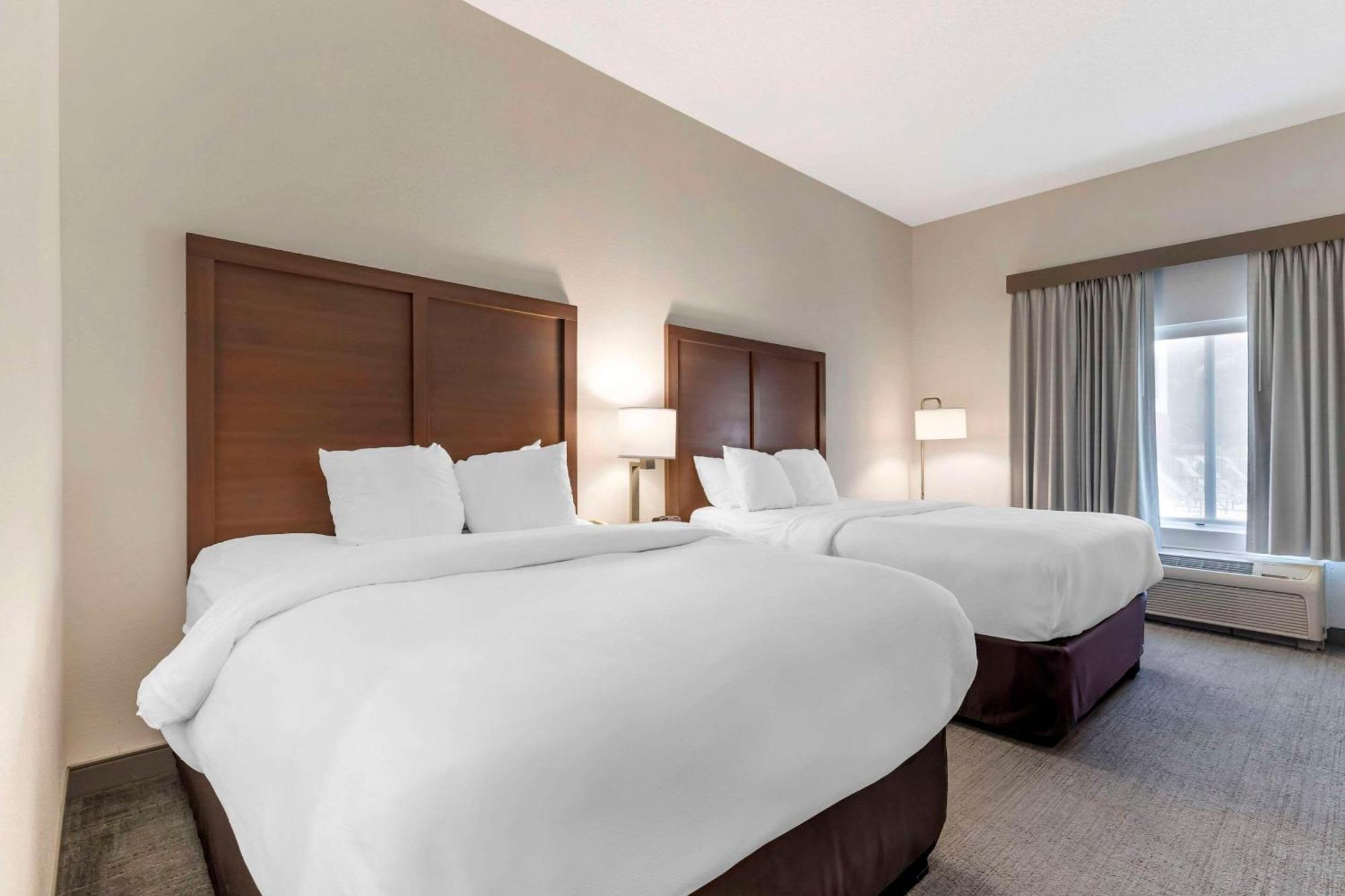 Standard Queen Room Two Queen Beds Non Smoking