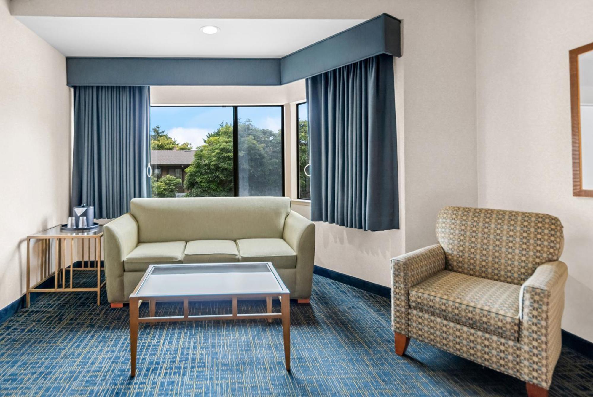 King Room Sofa Bed Non-Smoking