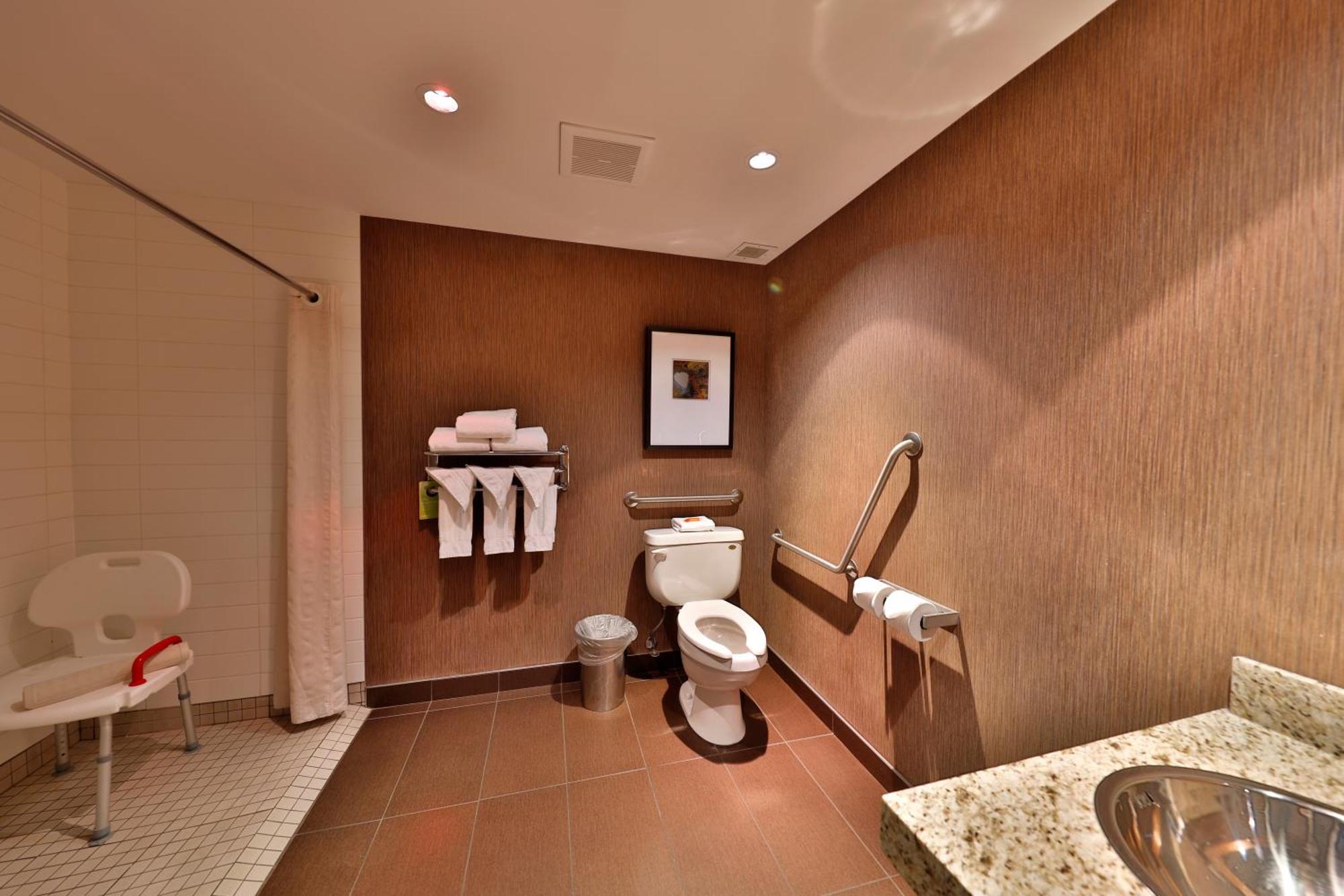 King Room Roll Shower Disability Access