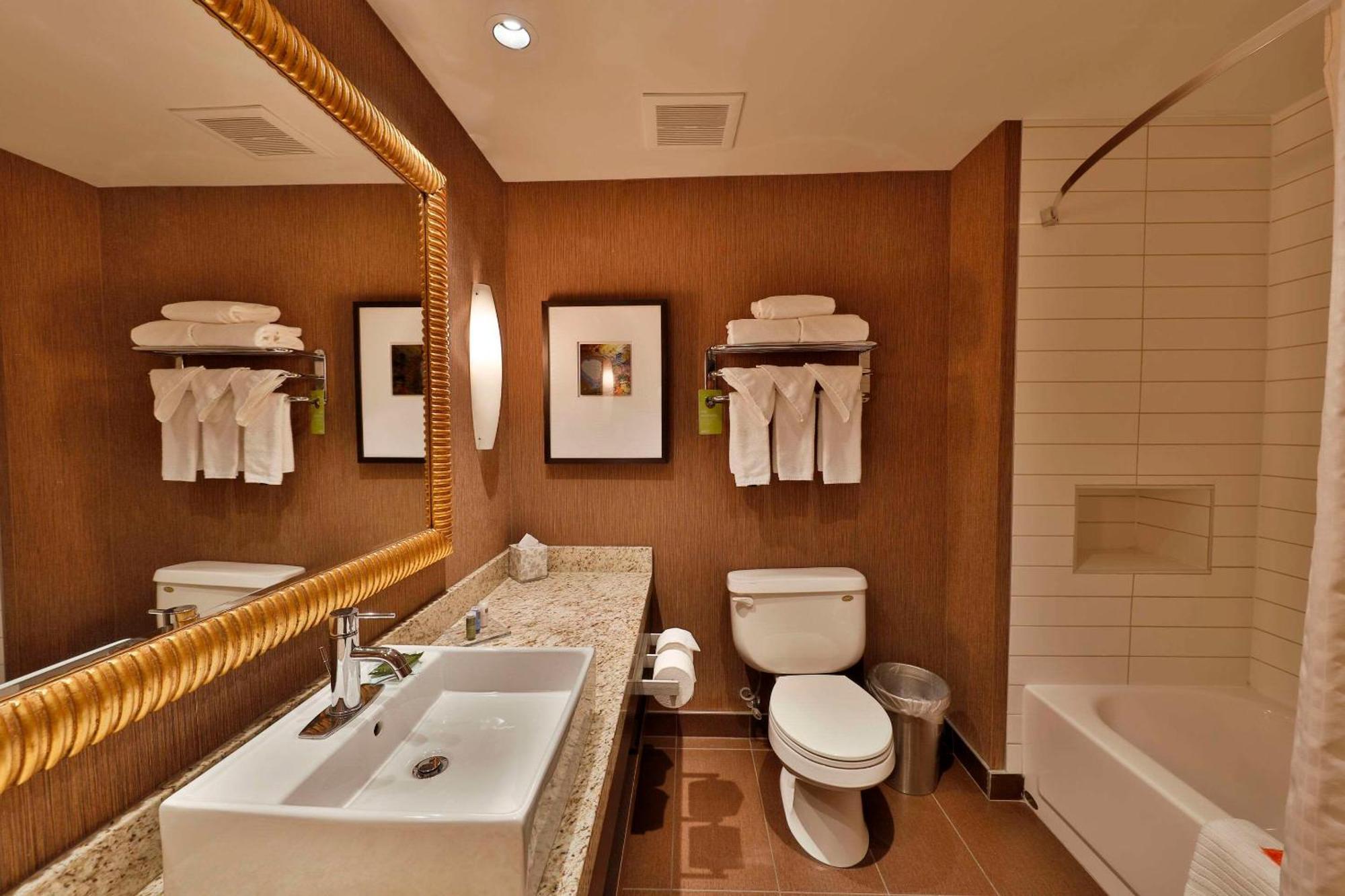 Premium King Room Non-Smoking