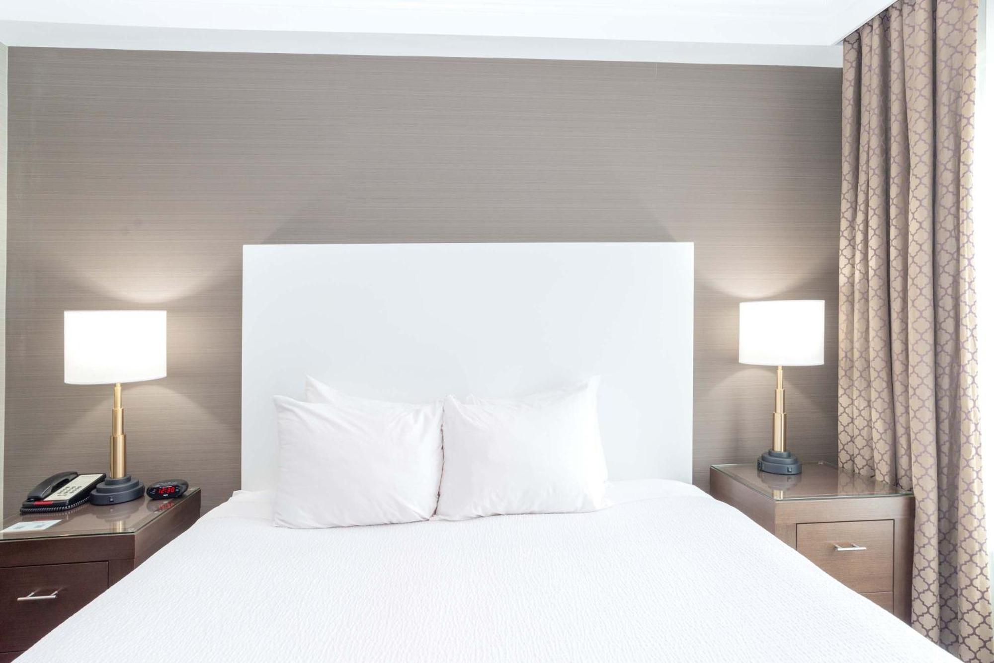 Standard Suite 1 King Bed Kitchen