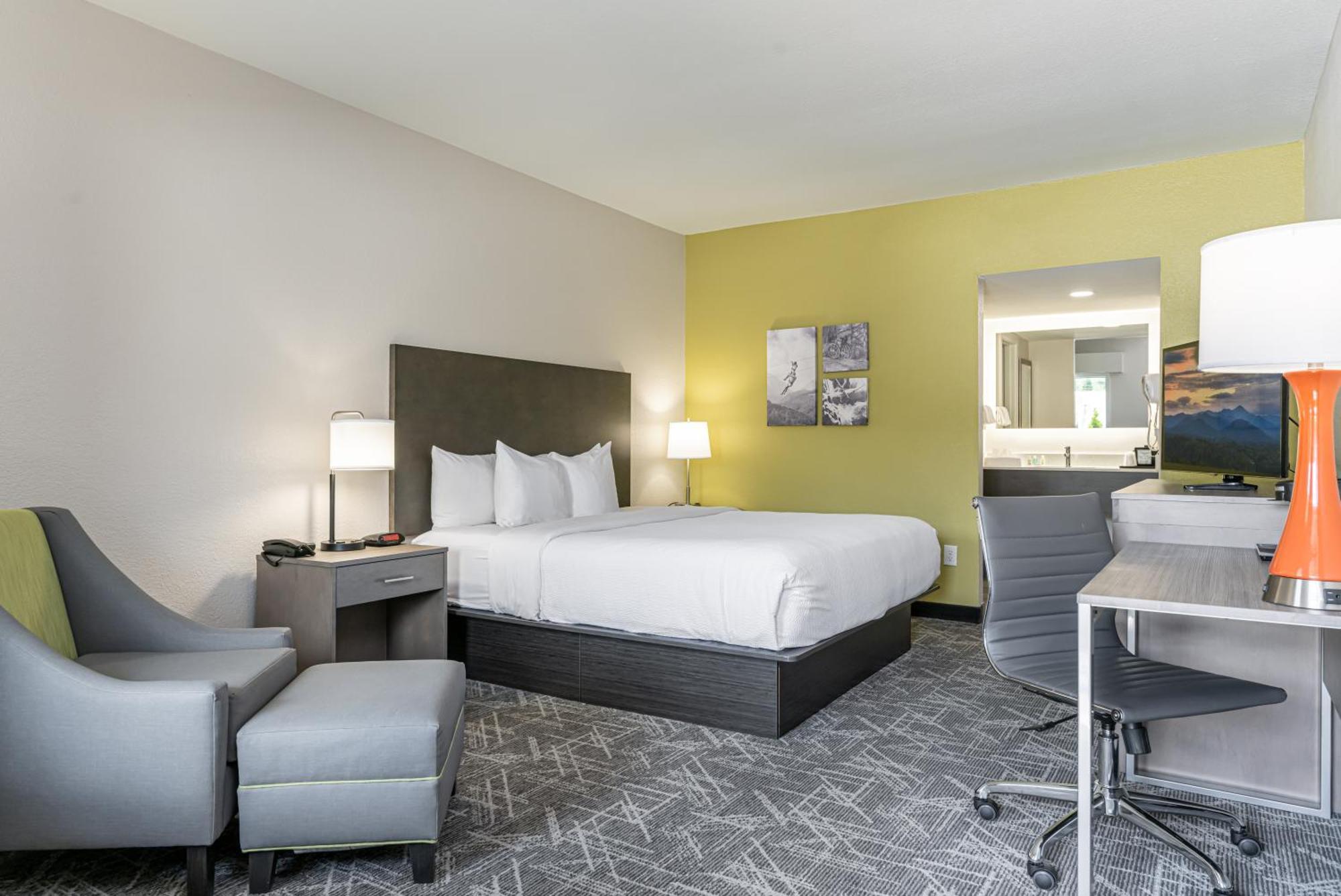 King Room Non-Smoking or Pet-Friendly