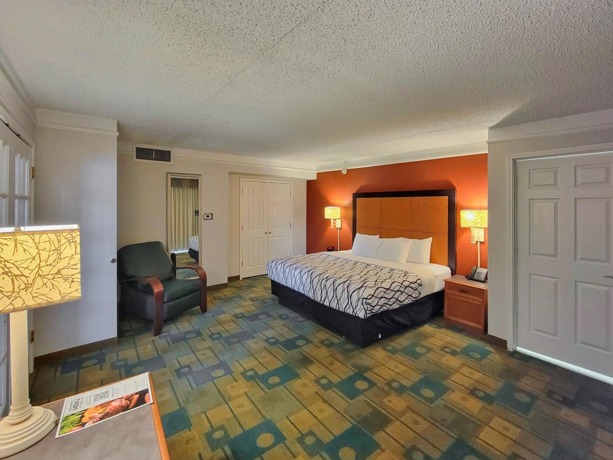 One-Bedroom King Suite Non-Smoking
