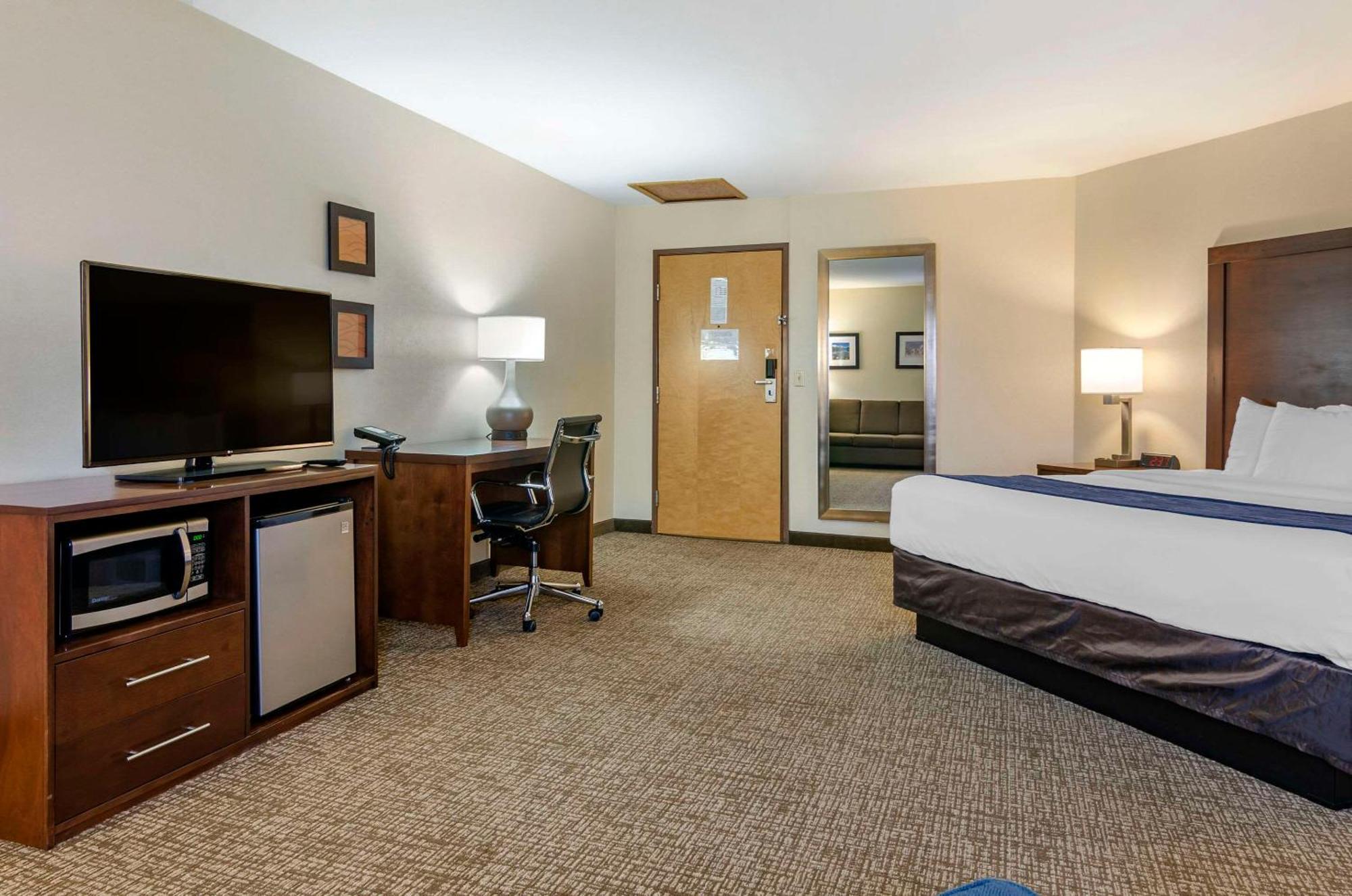 Large King Room with Sofa Bed - Non-Smoking