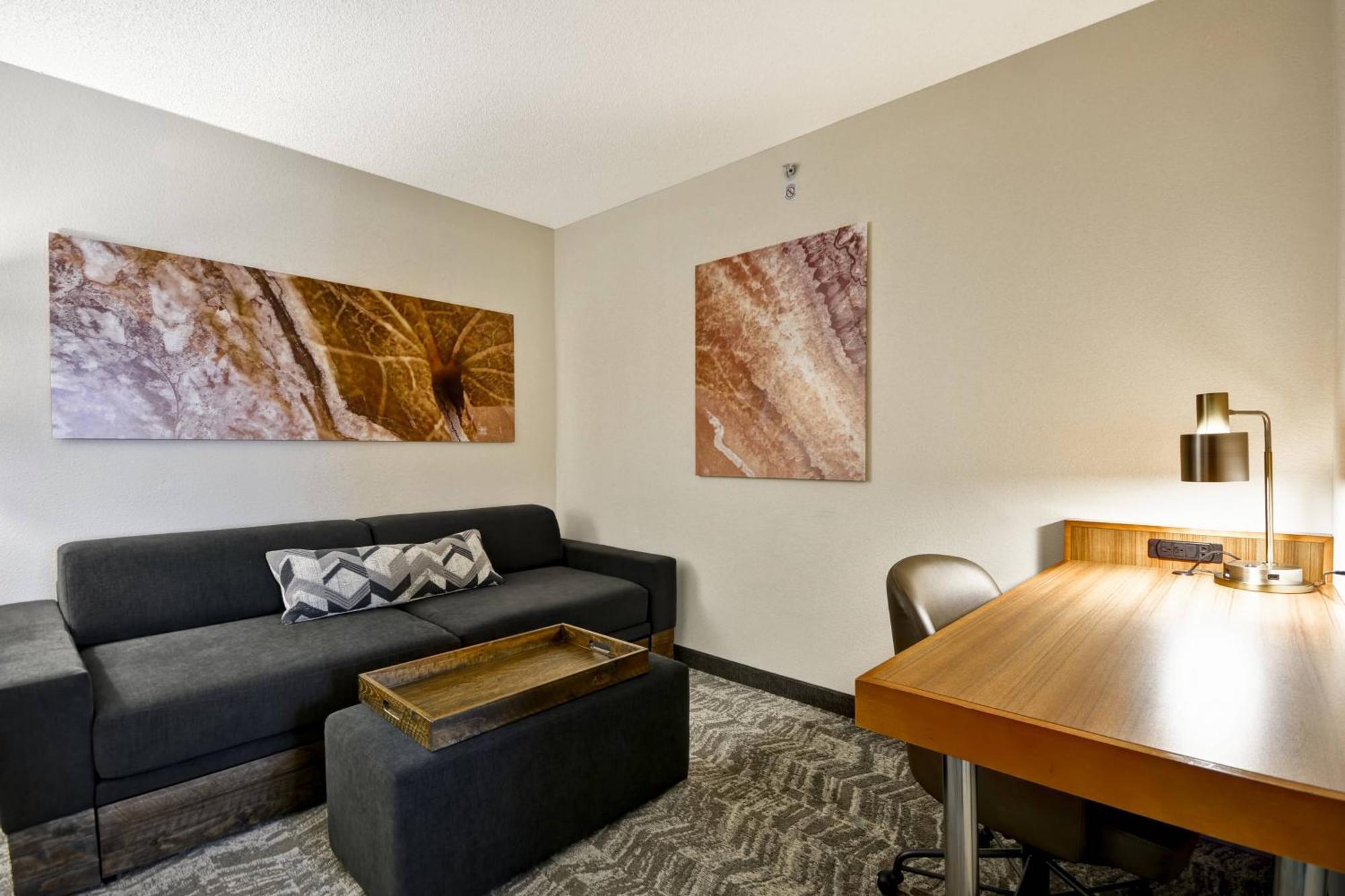 King Suite with Sofa Bed