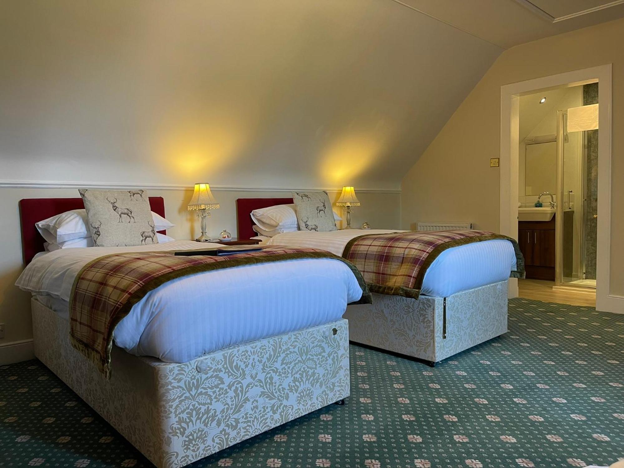 Deluxe Double or Twin Room