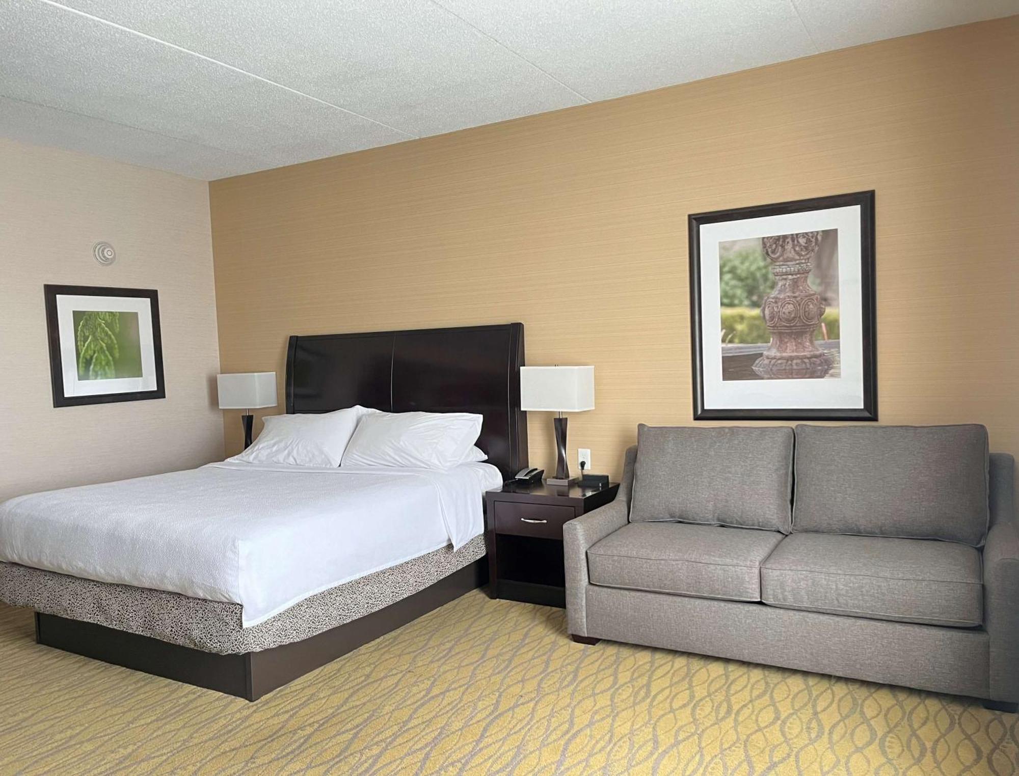 One-Bedroom King Room Sofa Bed