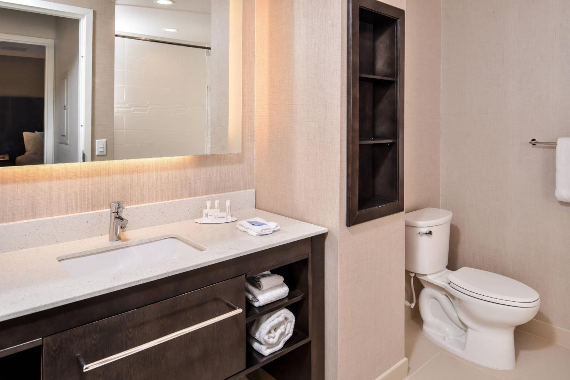 One-Bedroom King Suite