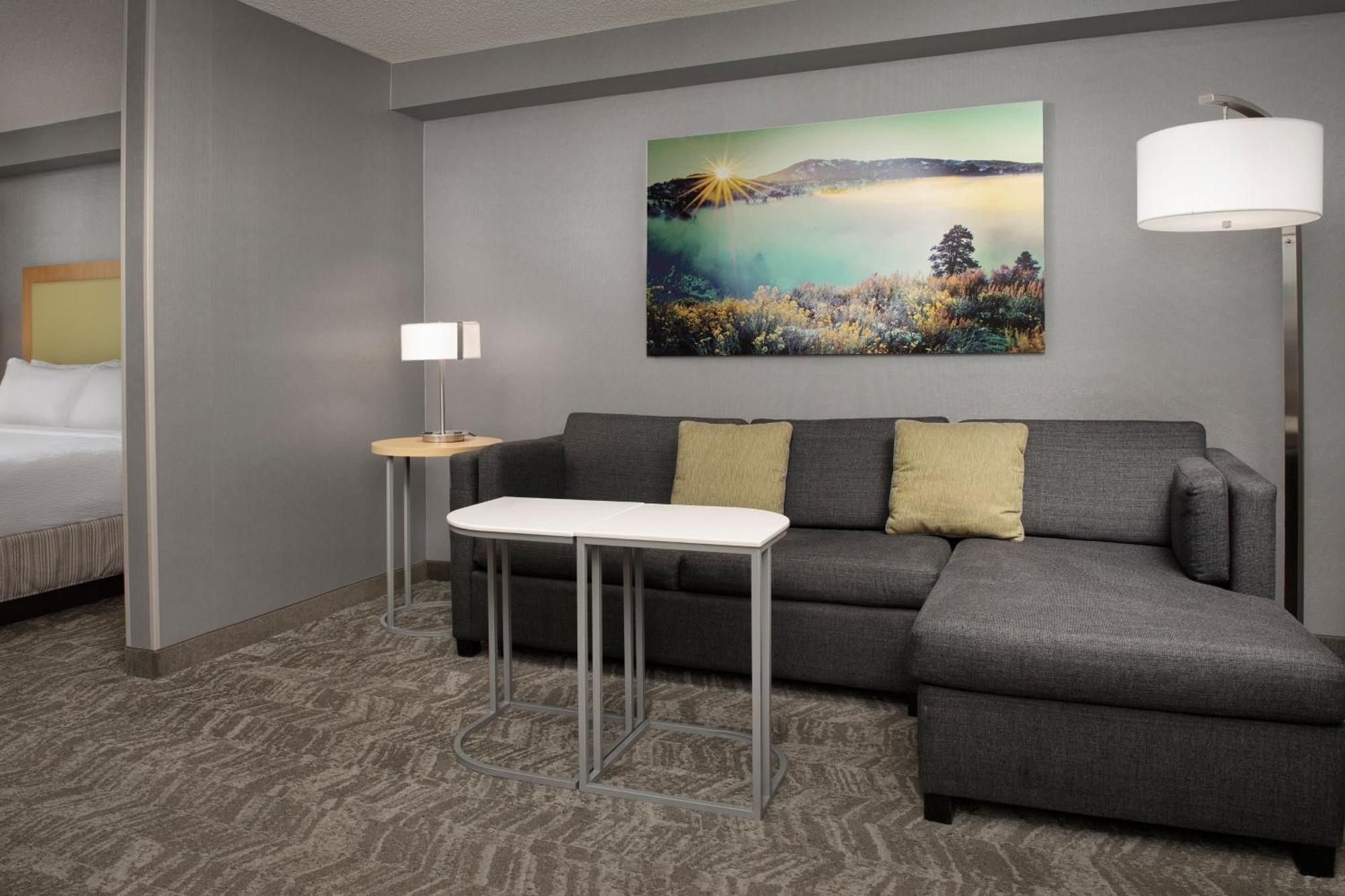 King Suite Sofa Bed