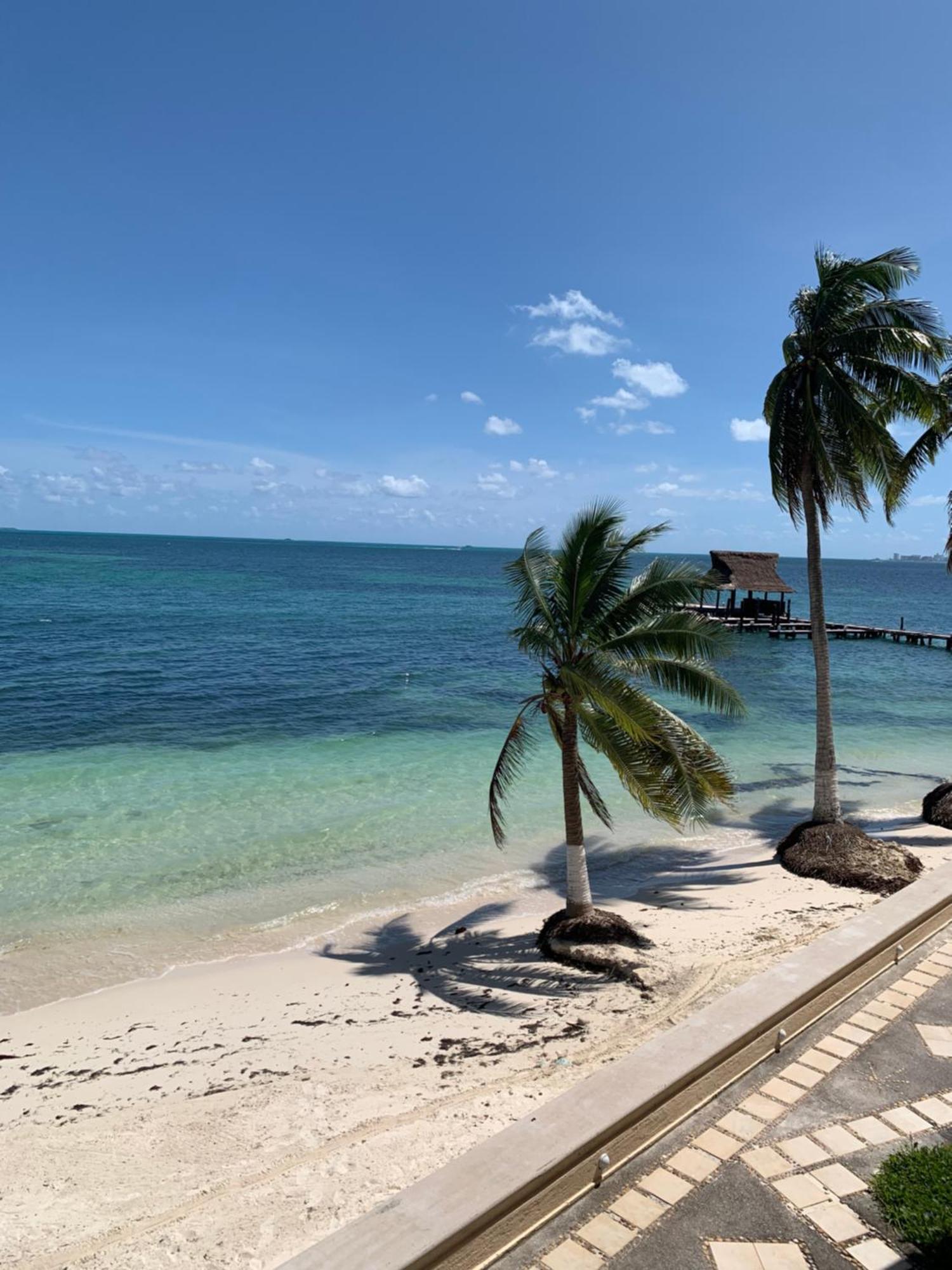 One-Bedroom Apartment Oceanfront