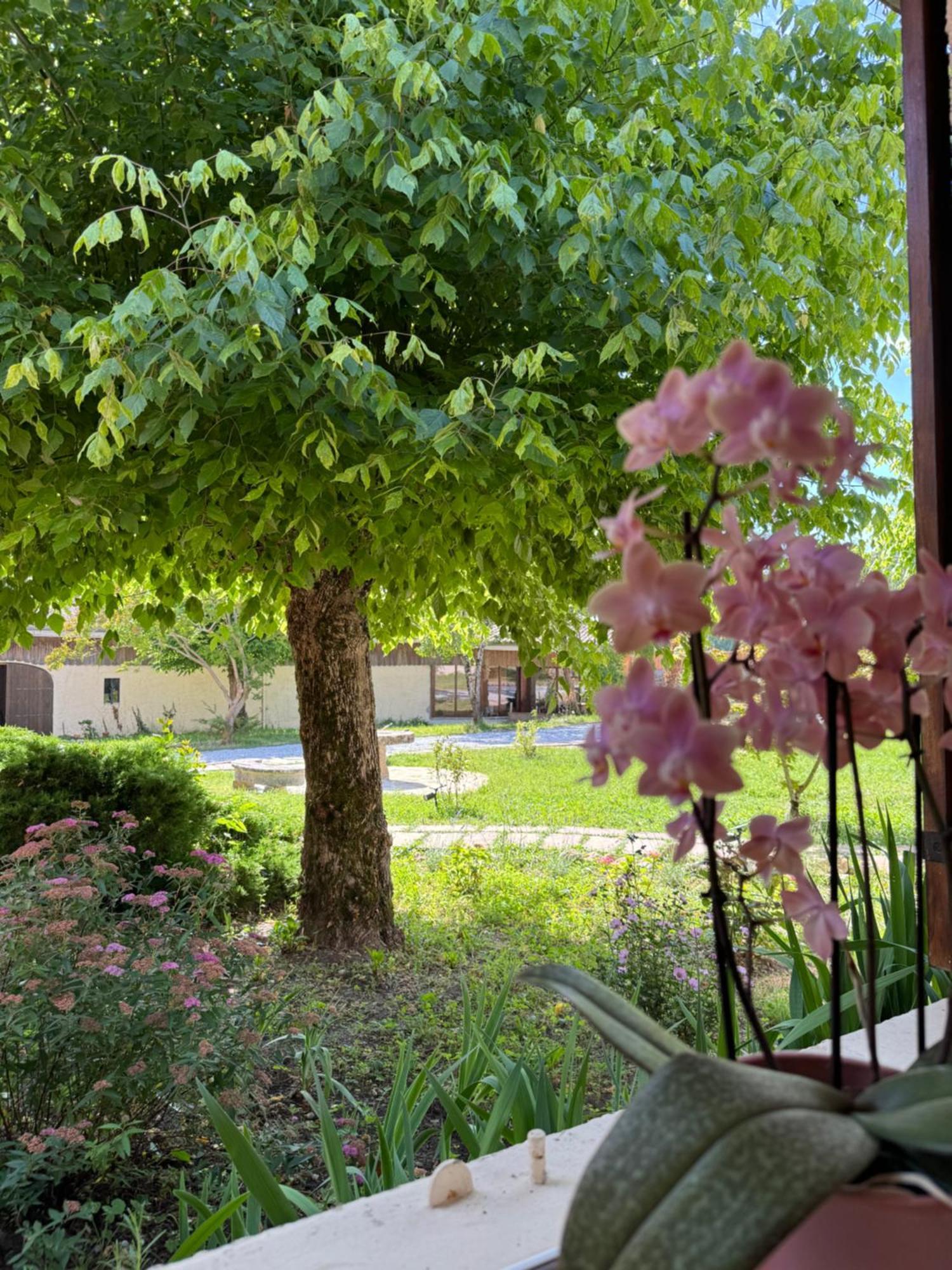 Double Room Garden View