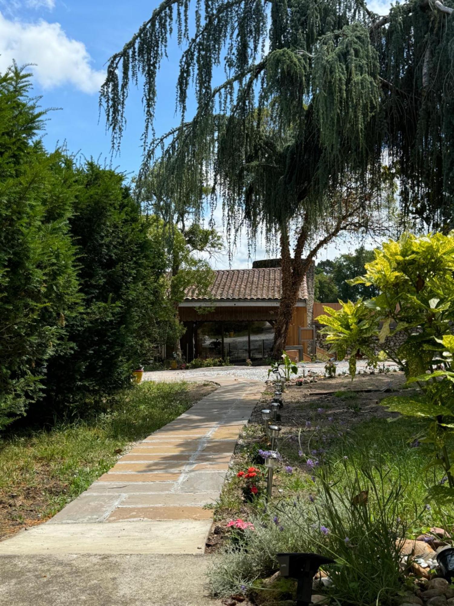 Suite Garden View