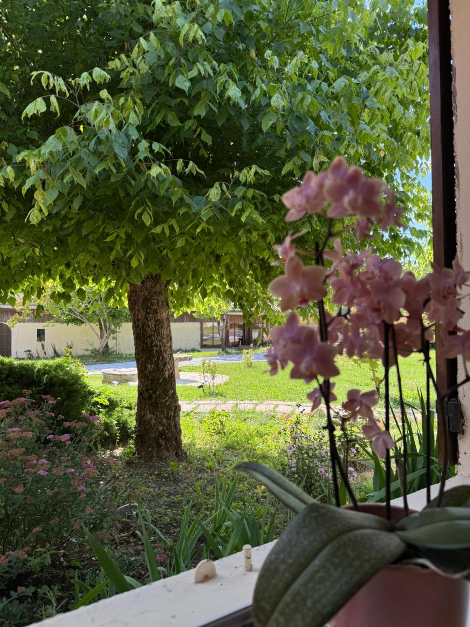 Double Room Garden View
