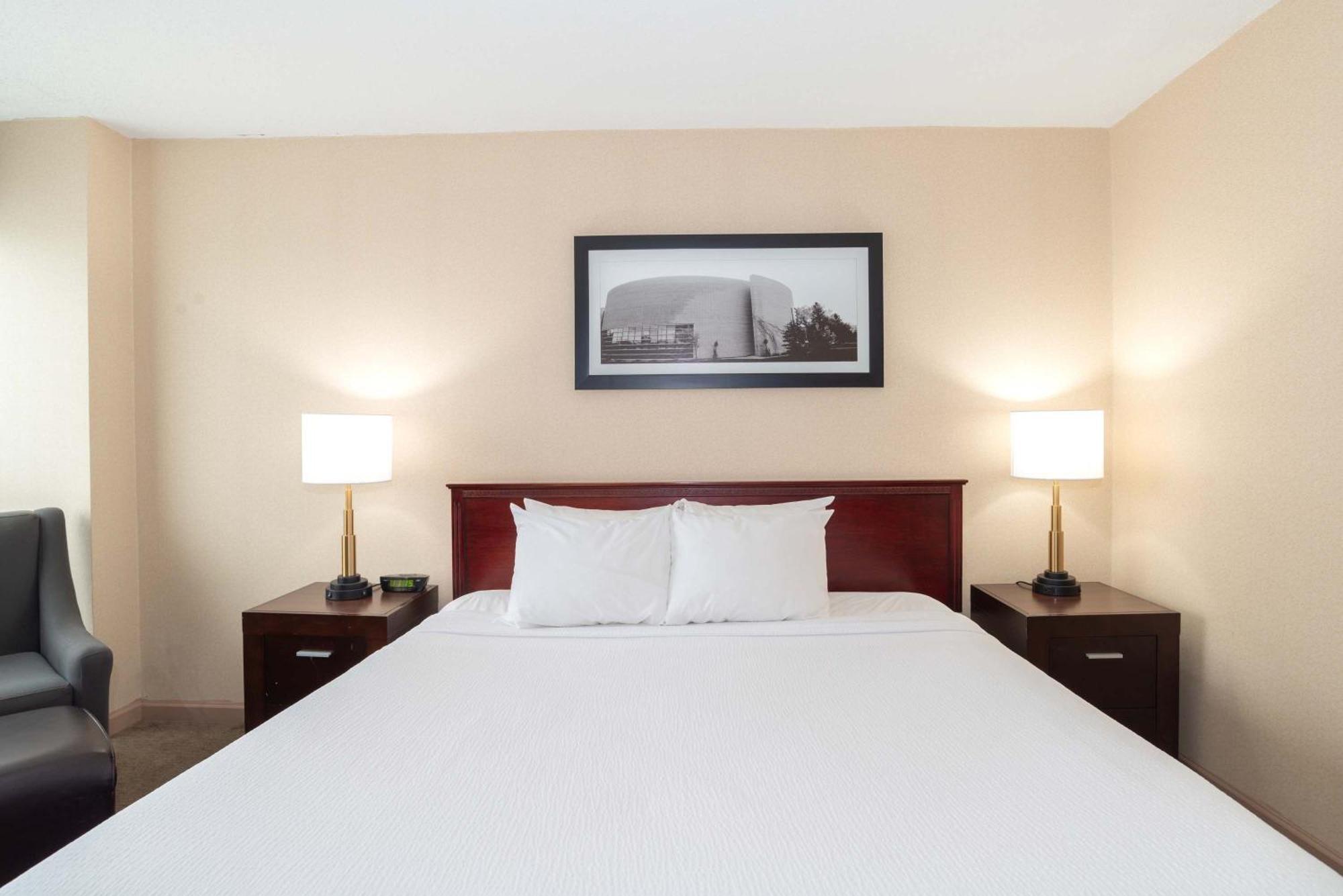 Standard Room 1 King Bed