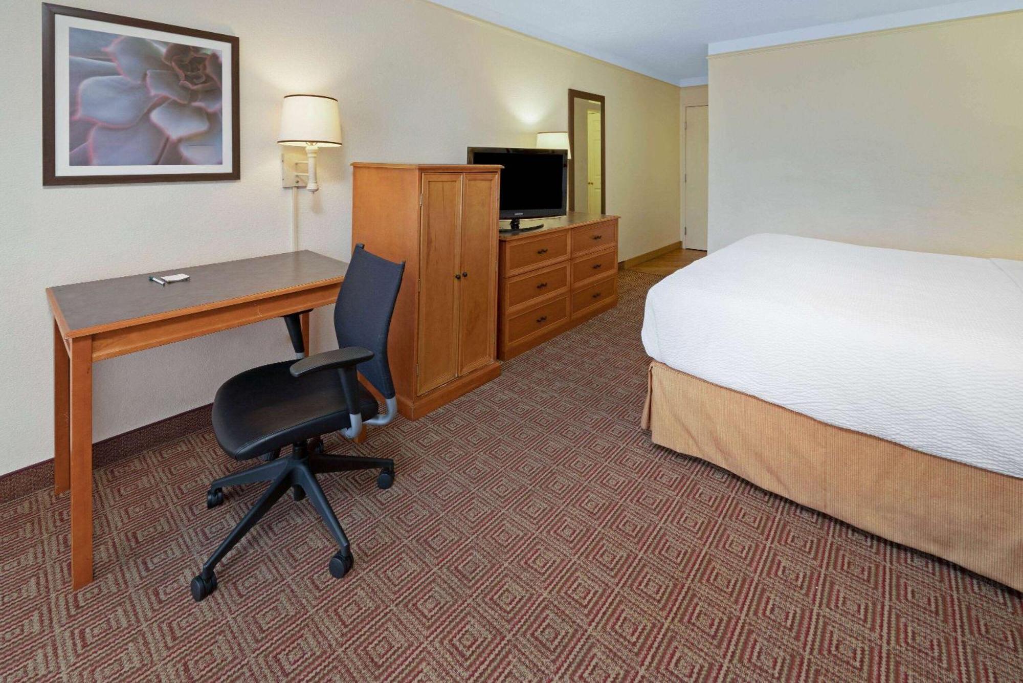 King Room - Pet Friendly/Non-Smoking