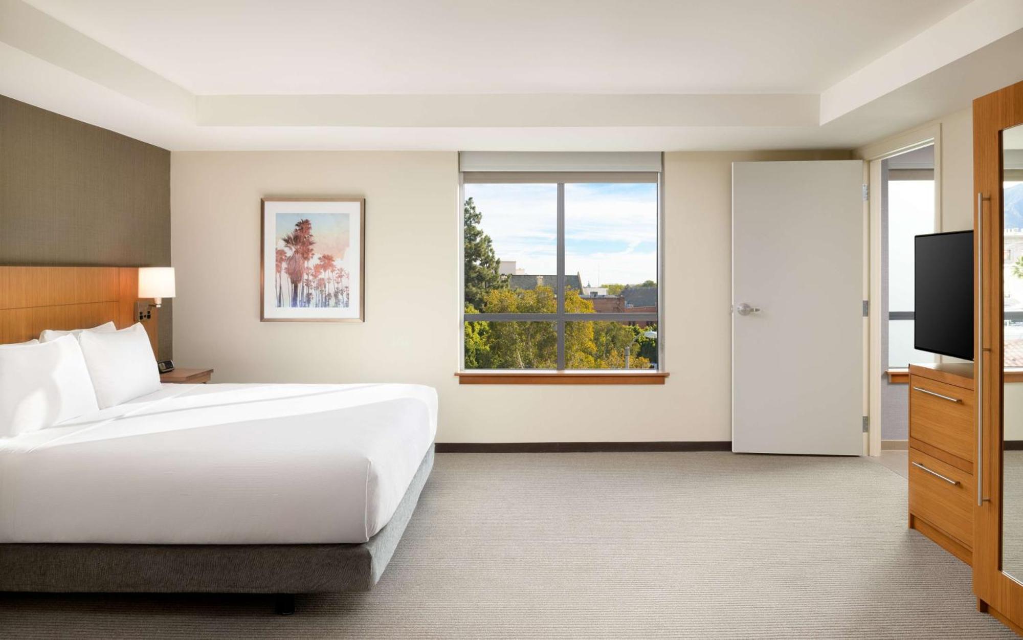 One-Bedroom King Suite Sofa Bed
