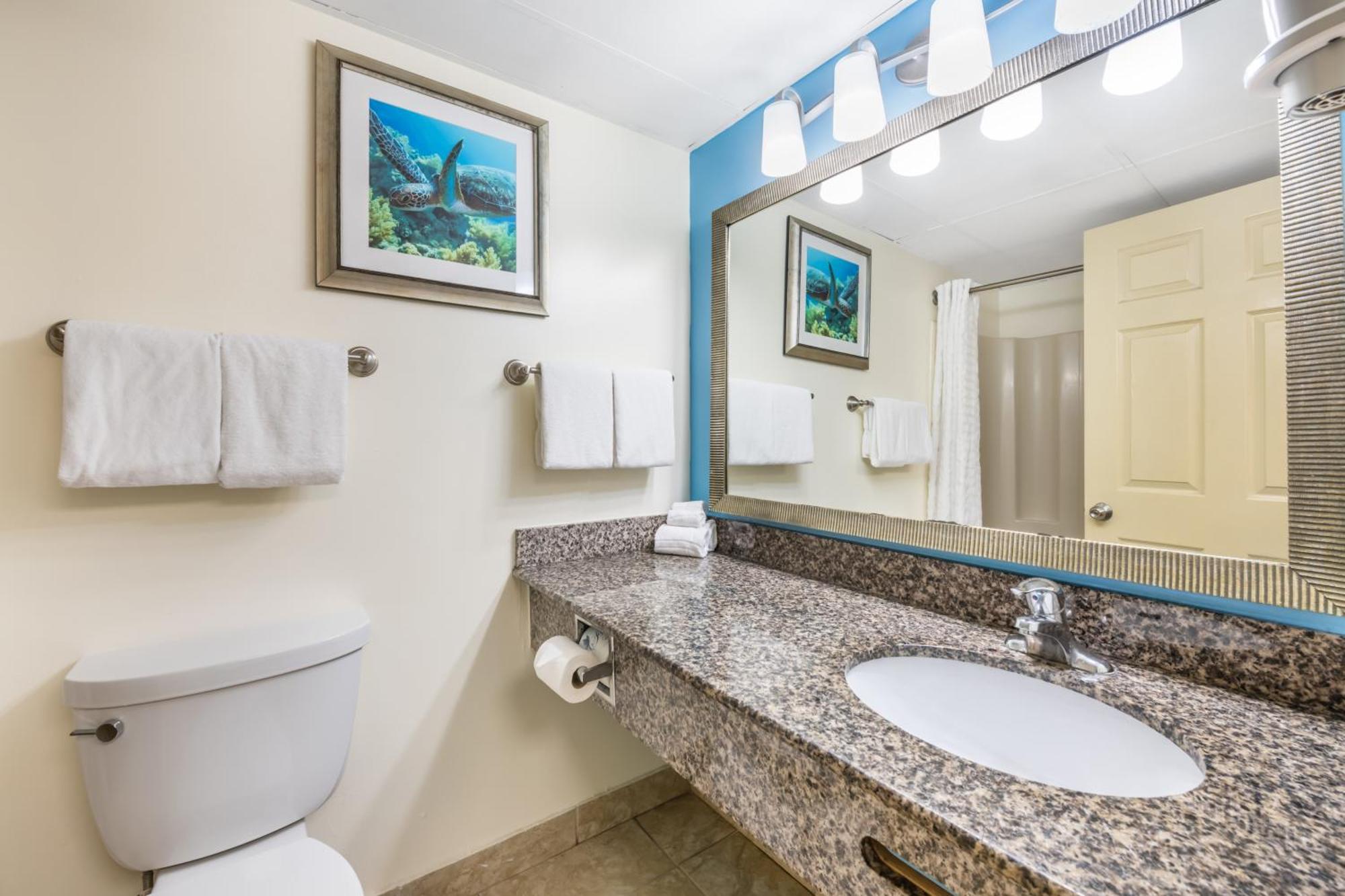 King Room Partial Ocean View