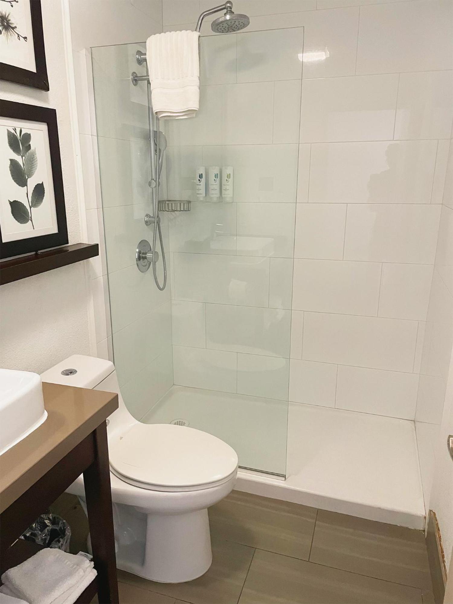One-Bedroom King Suite Non-Smoking