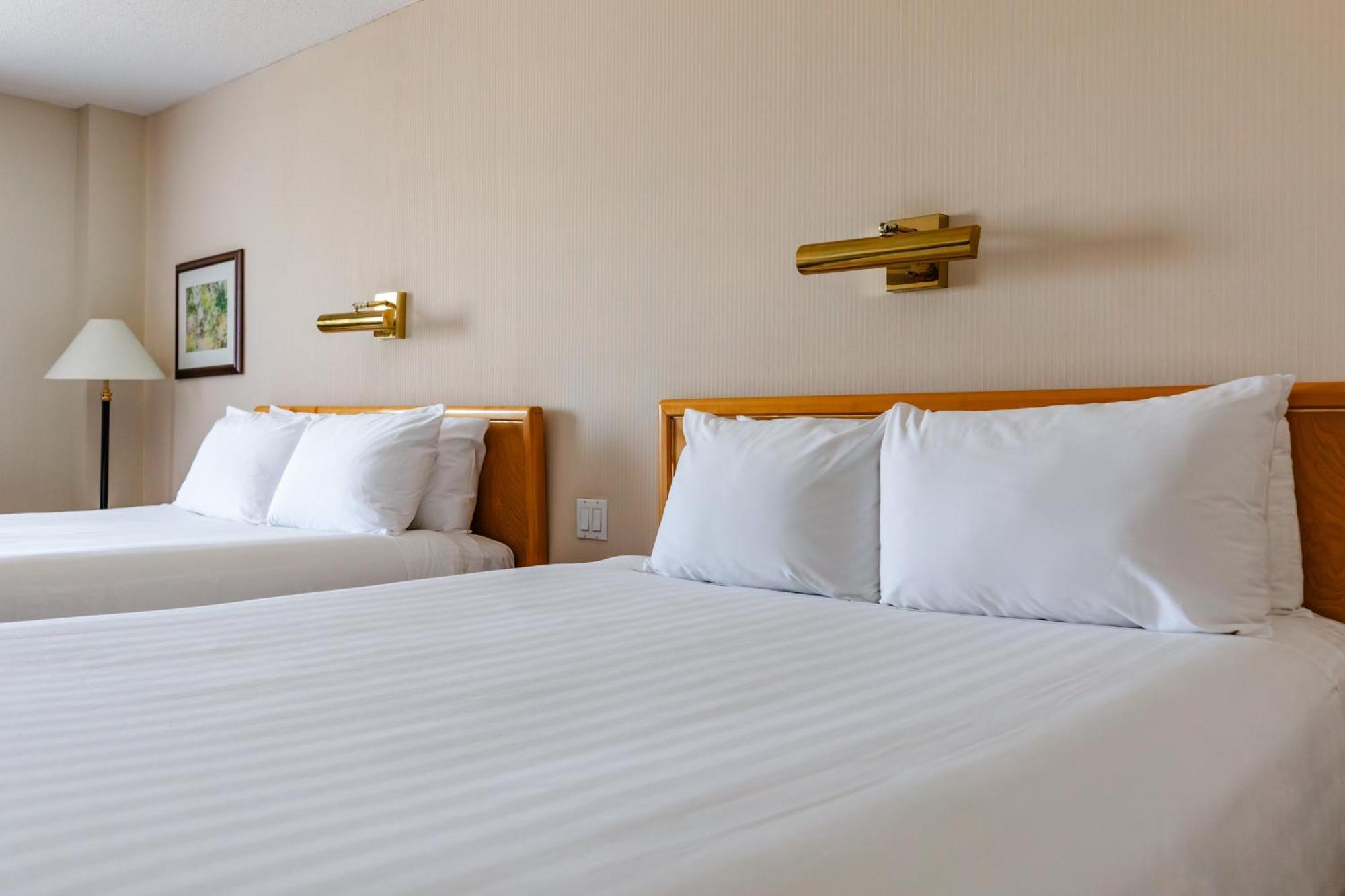 Classic Double Room Two Double Beds