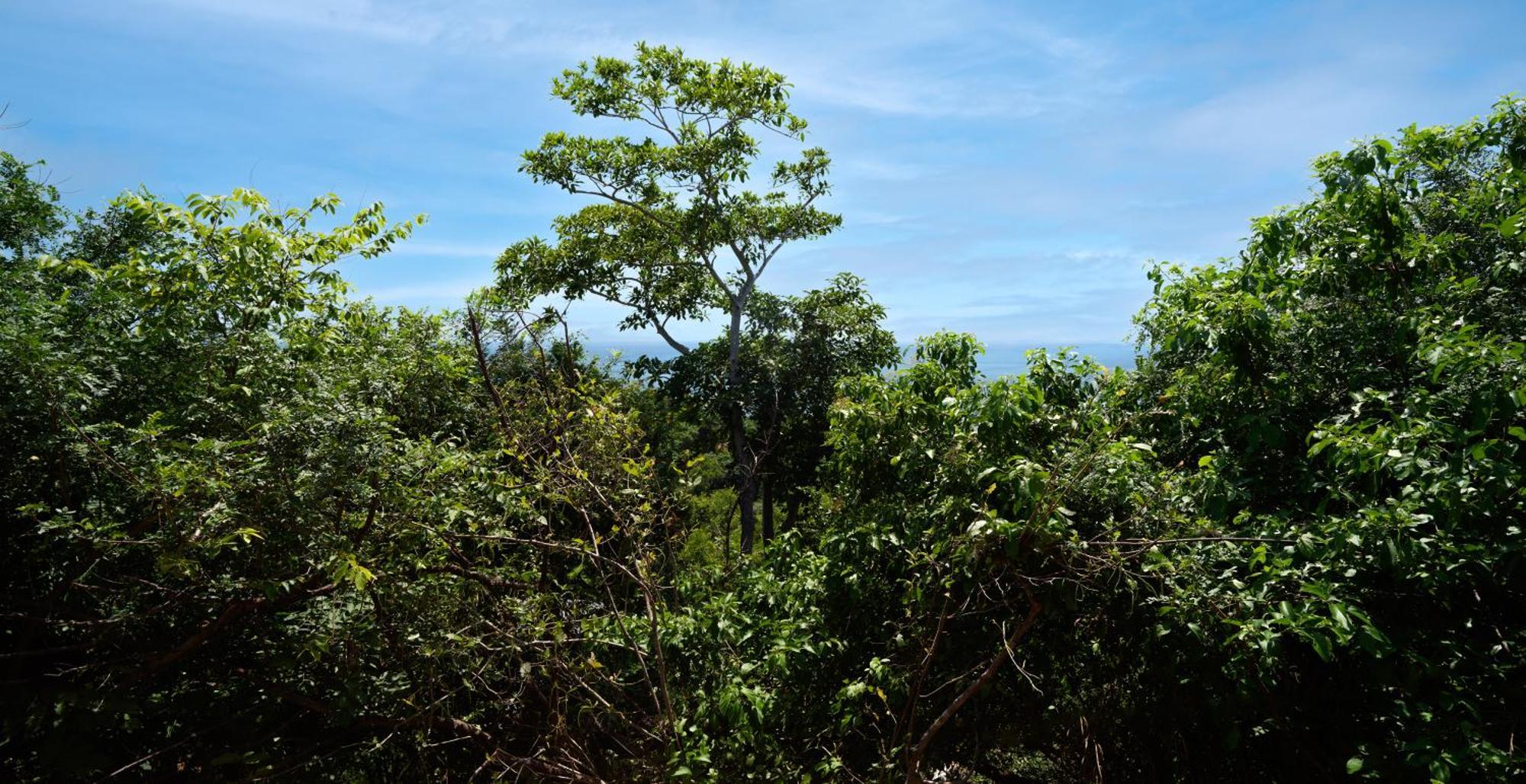 Bungalow Sea View