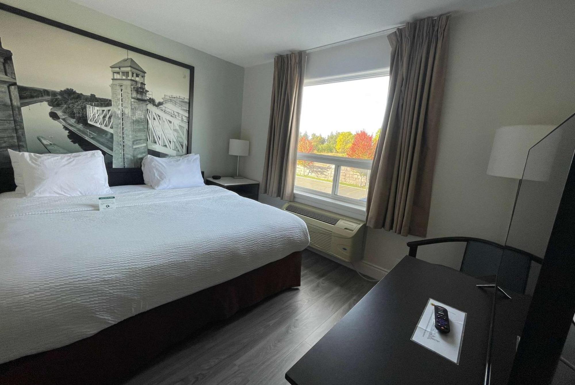 1 King Bed 1 Sofa Bed Suite Non-Smoking