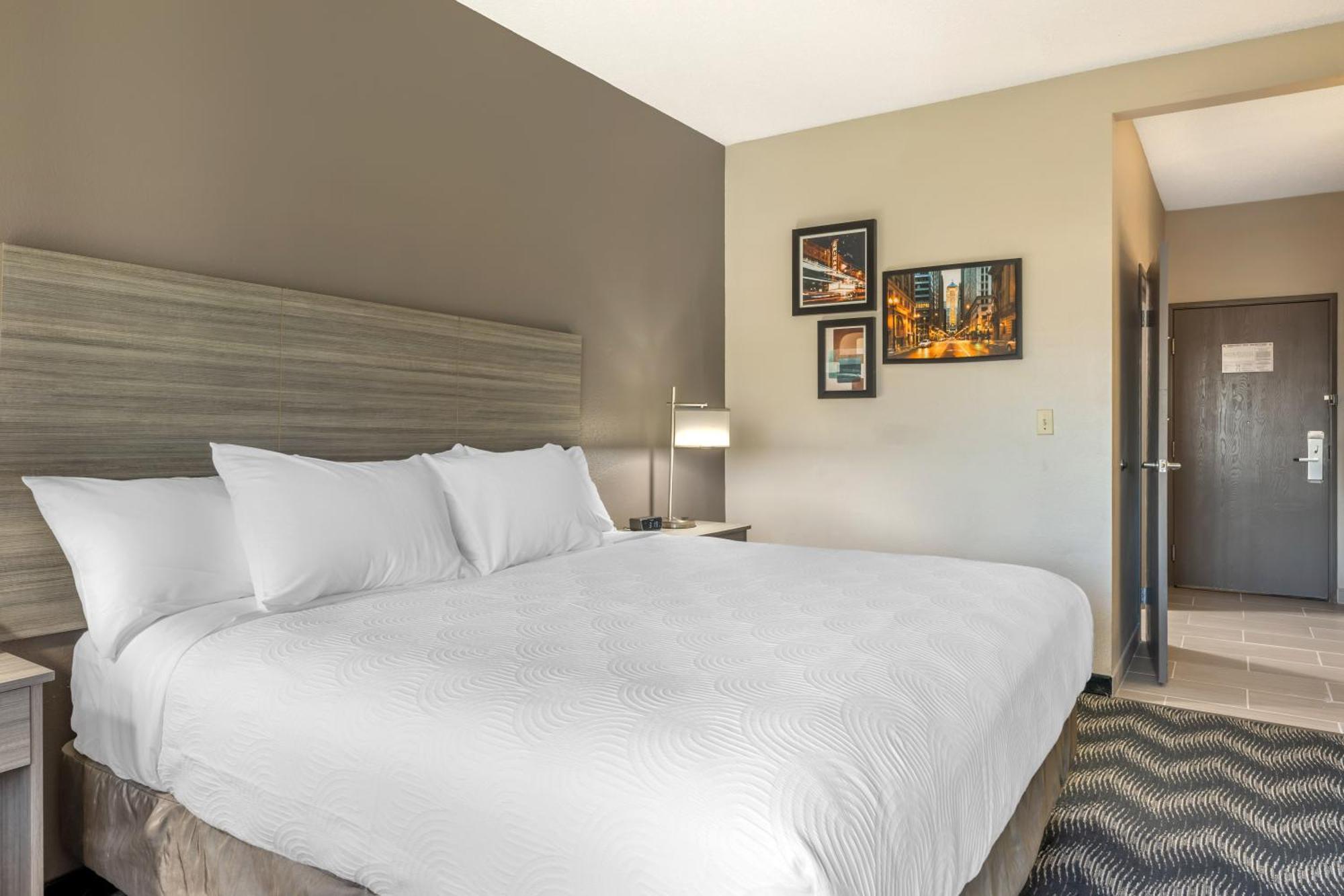 1 King Bed Nonsmoking Accessible