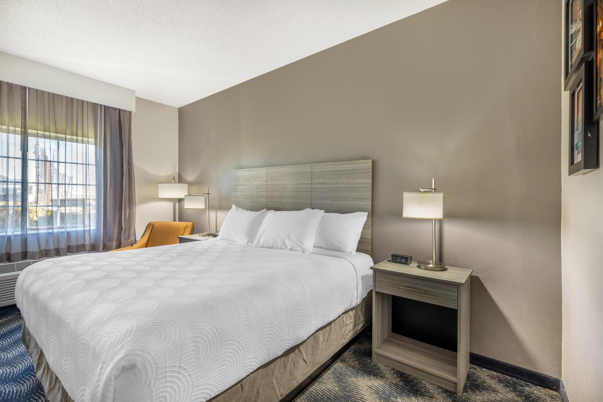 1 King Bed Nonsmoking Accessible