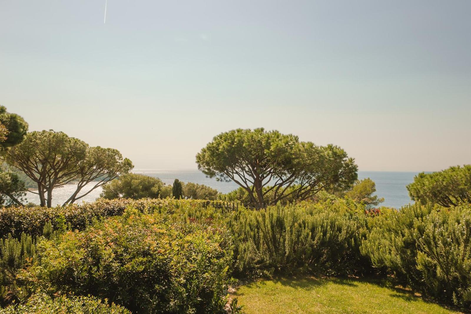Deluxe Double Room Balcony Sea View