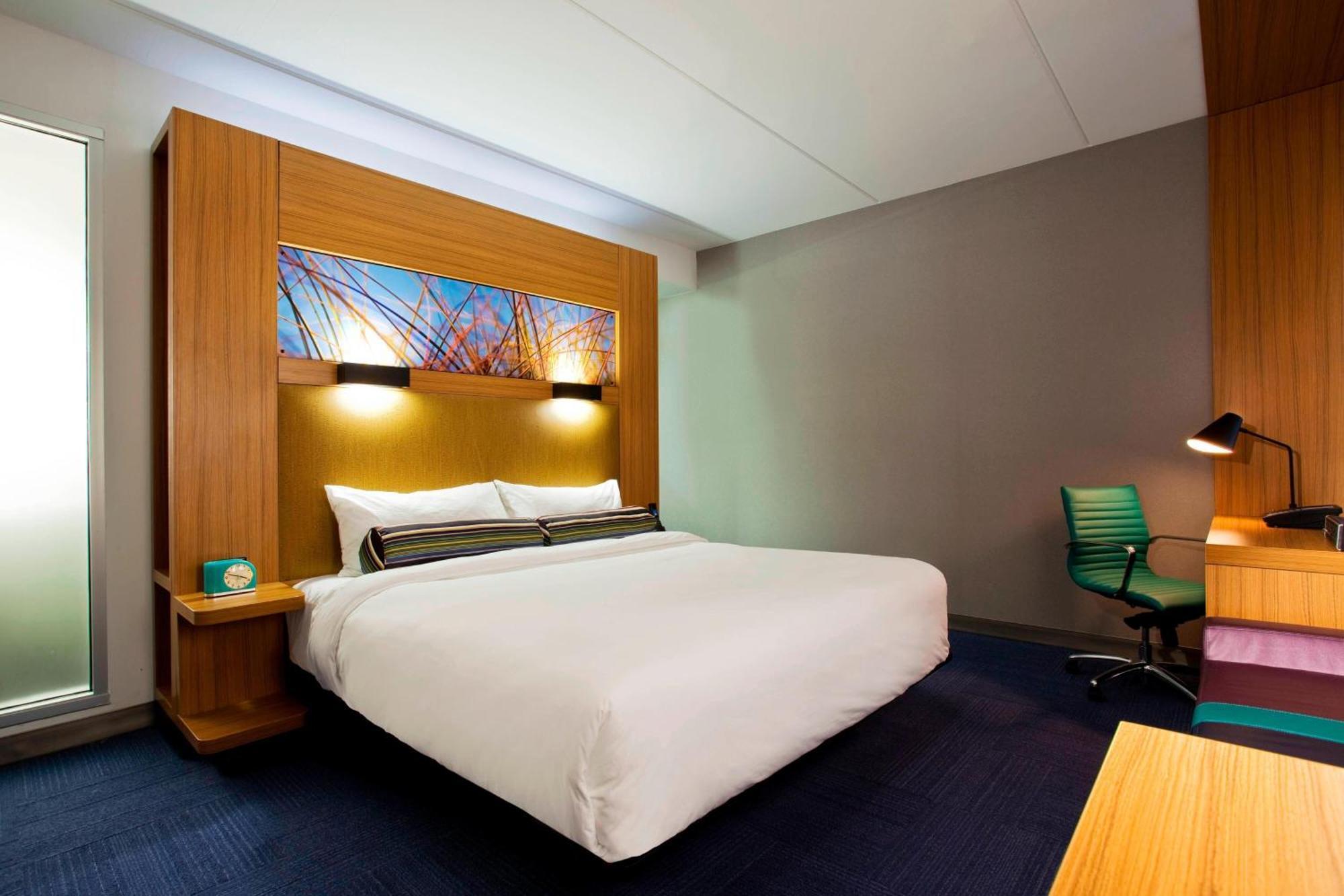 Allergy Free Room, Guest room, 1 King