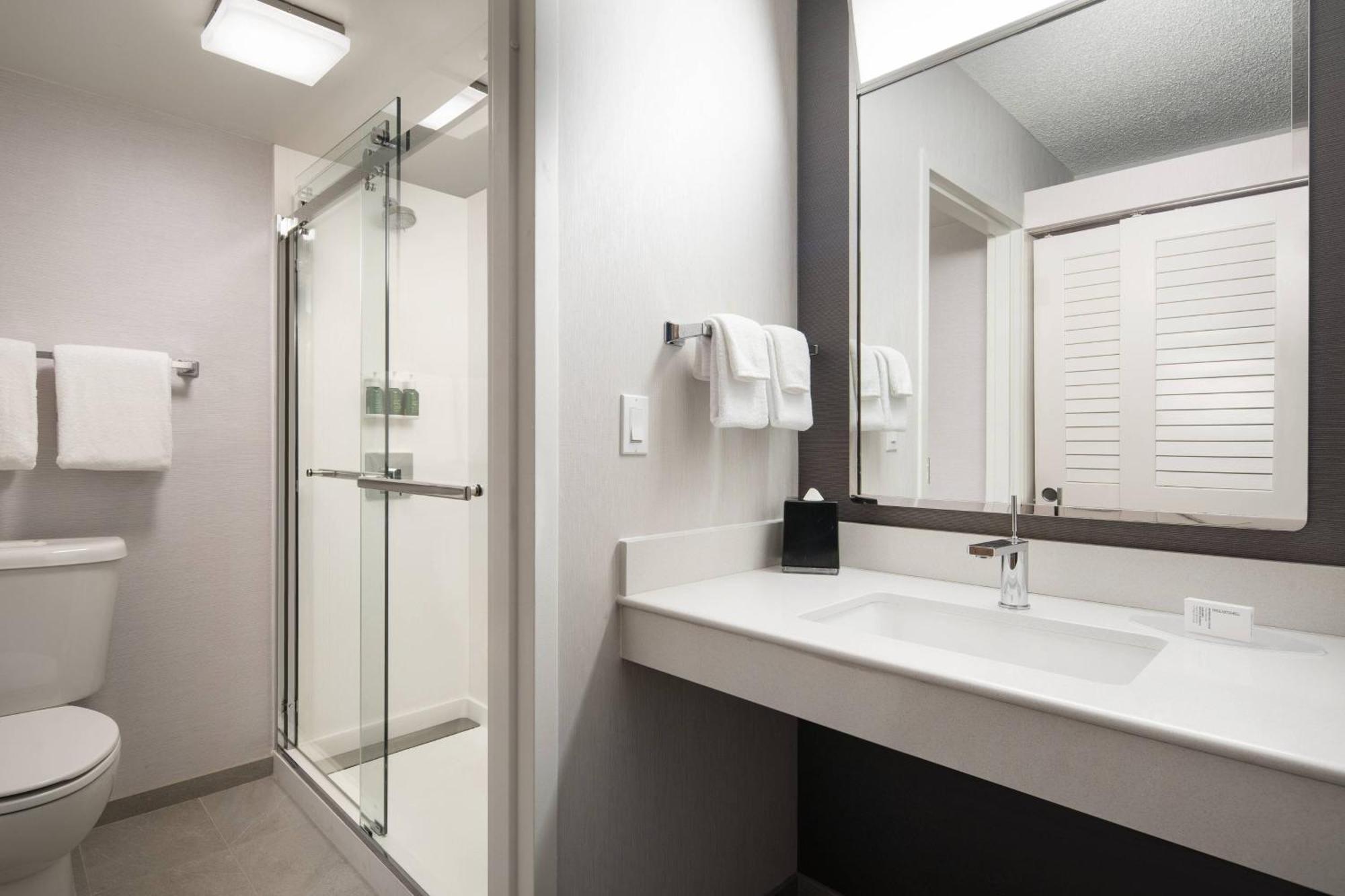 One-Bedroom King Suite