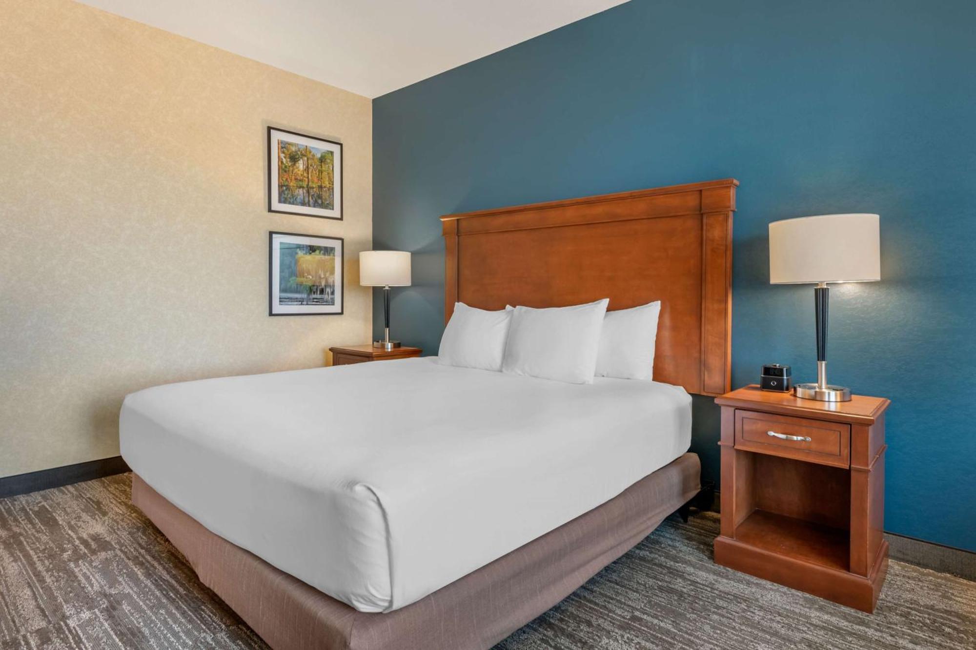 Deluxe King Room Accessible Roll Shower