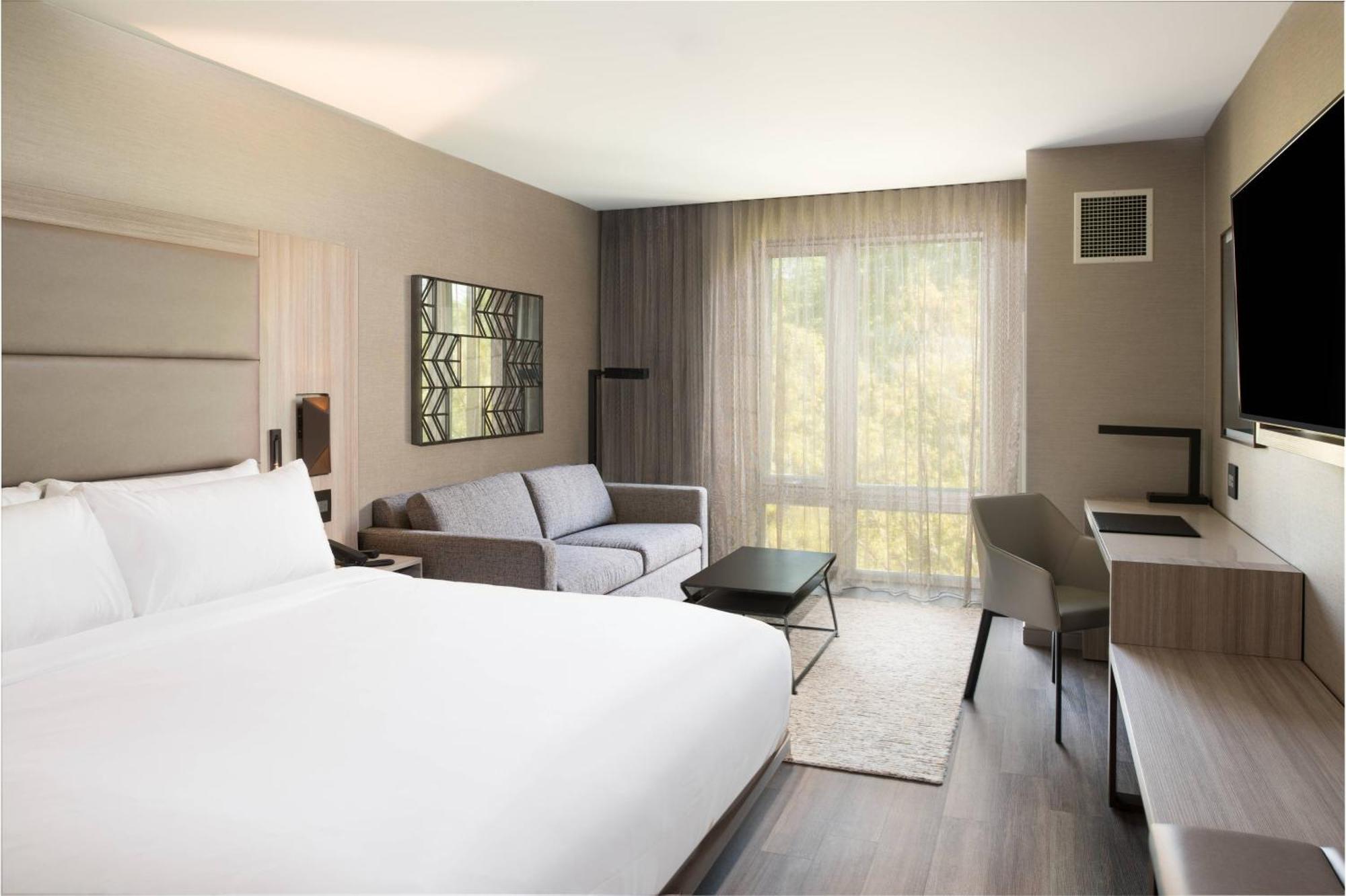 Studio with King Bed and Sofa Bed - Hearing Accessible