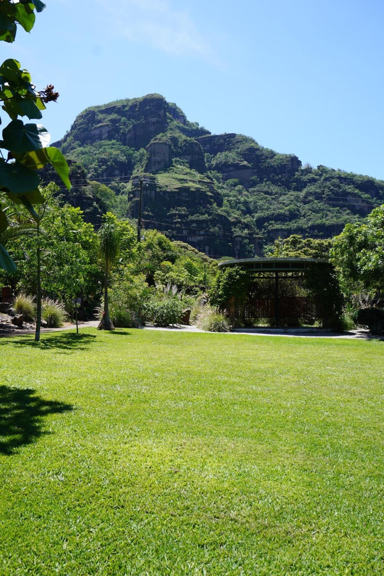 Double Room Garden View