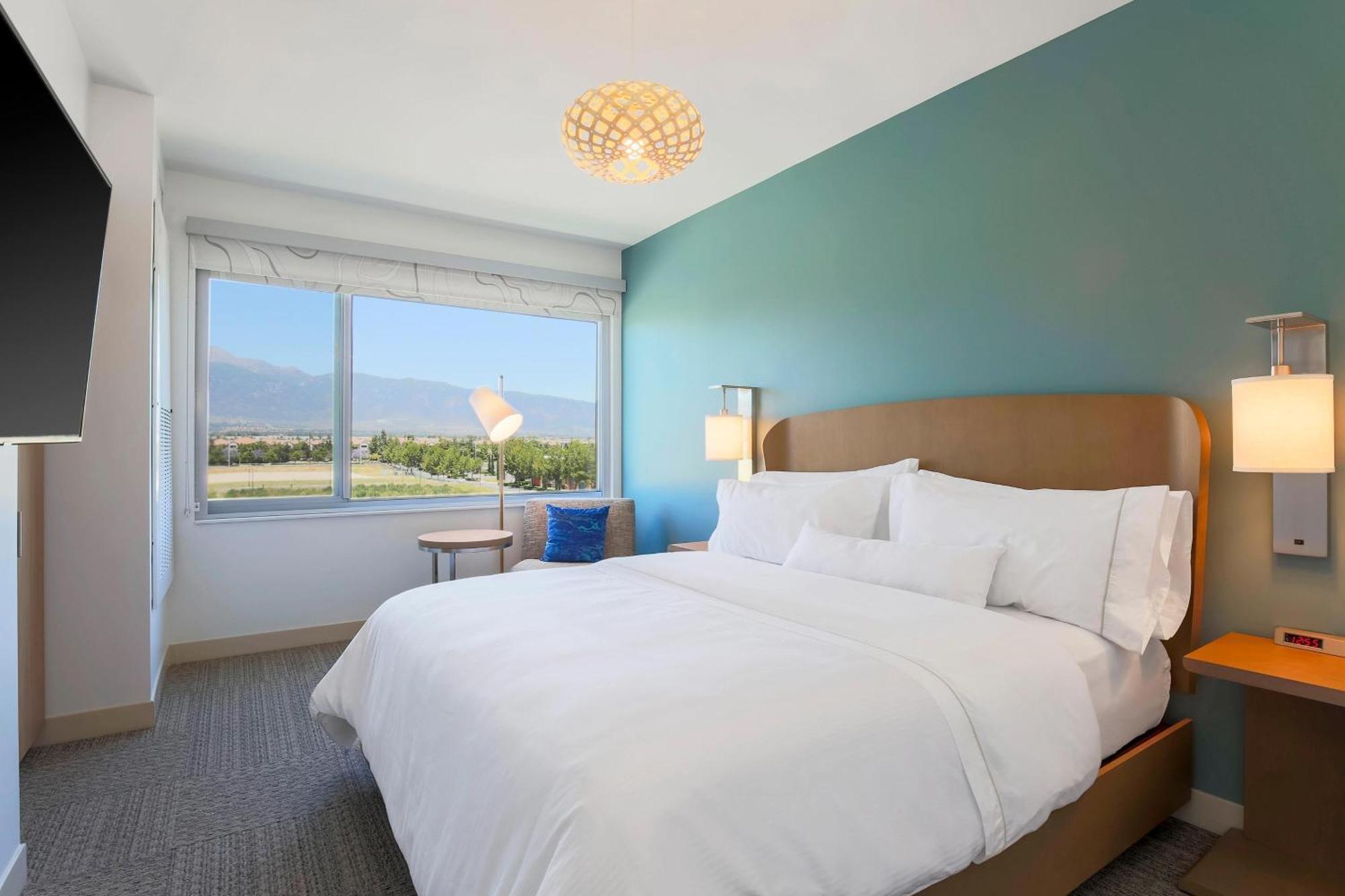 1 Bedroom Suite 1 King Sofa bed
