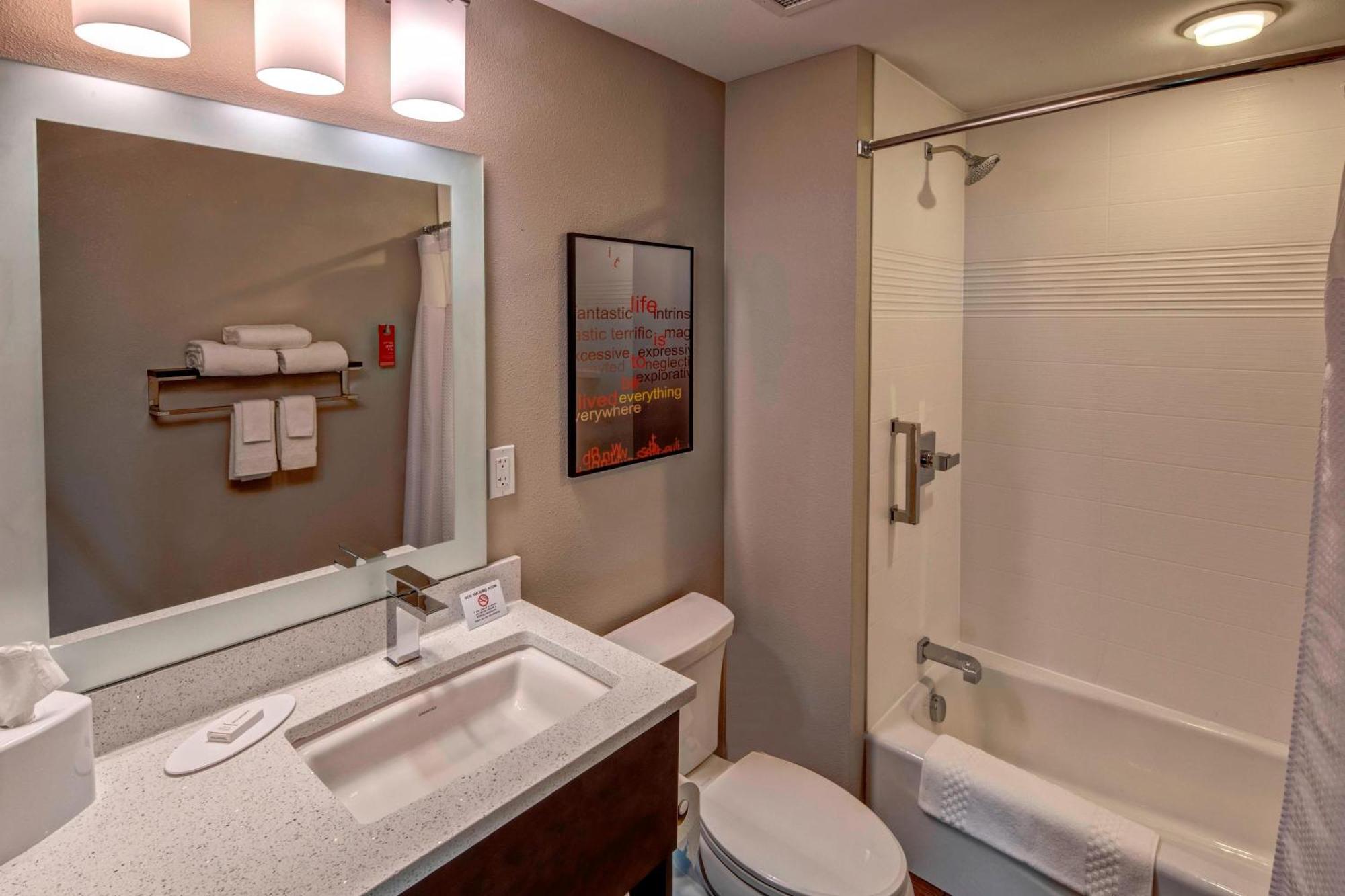 1 Bedroom Suite 1 Queen Sofa bed