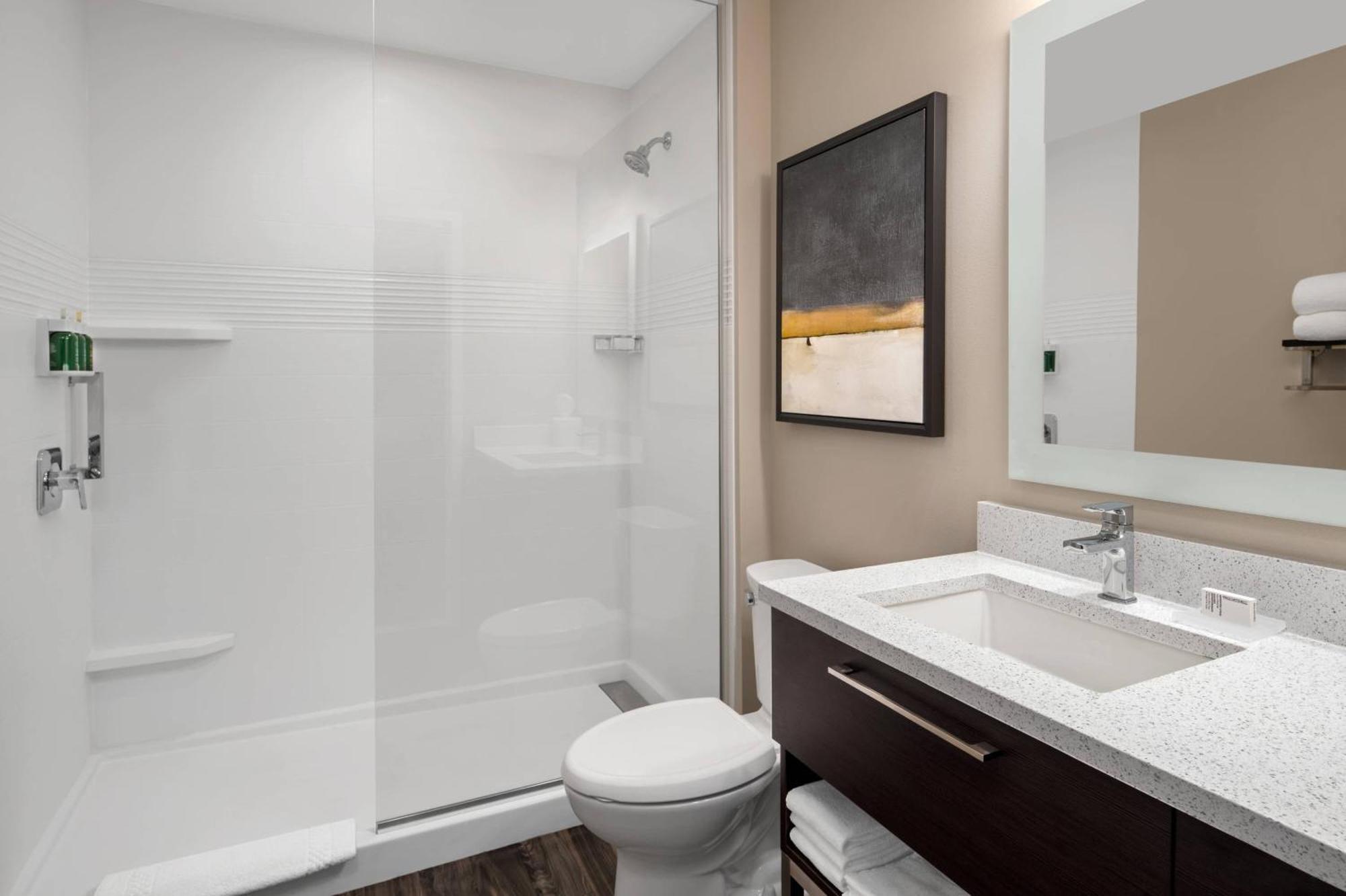 1 Bedroom Suite, 1 King, Sofa bed, City view