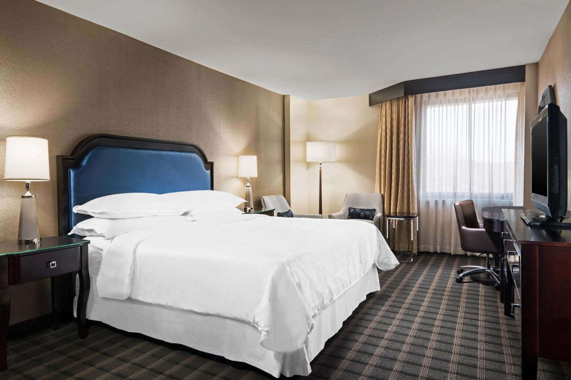 Deluxe Guest room 1 King