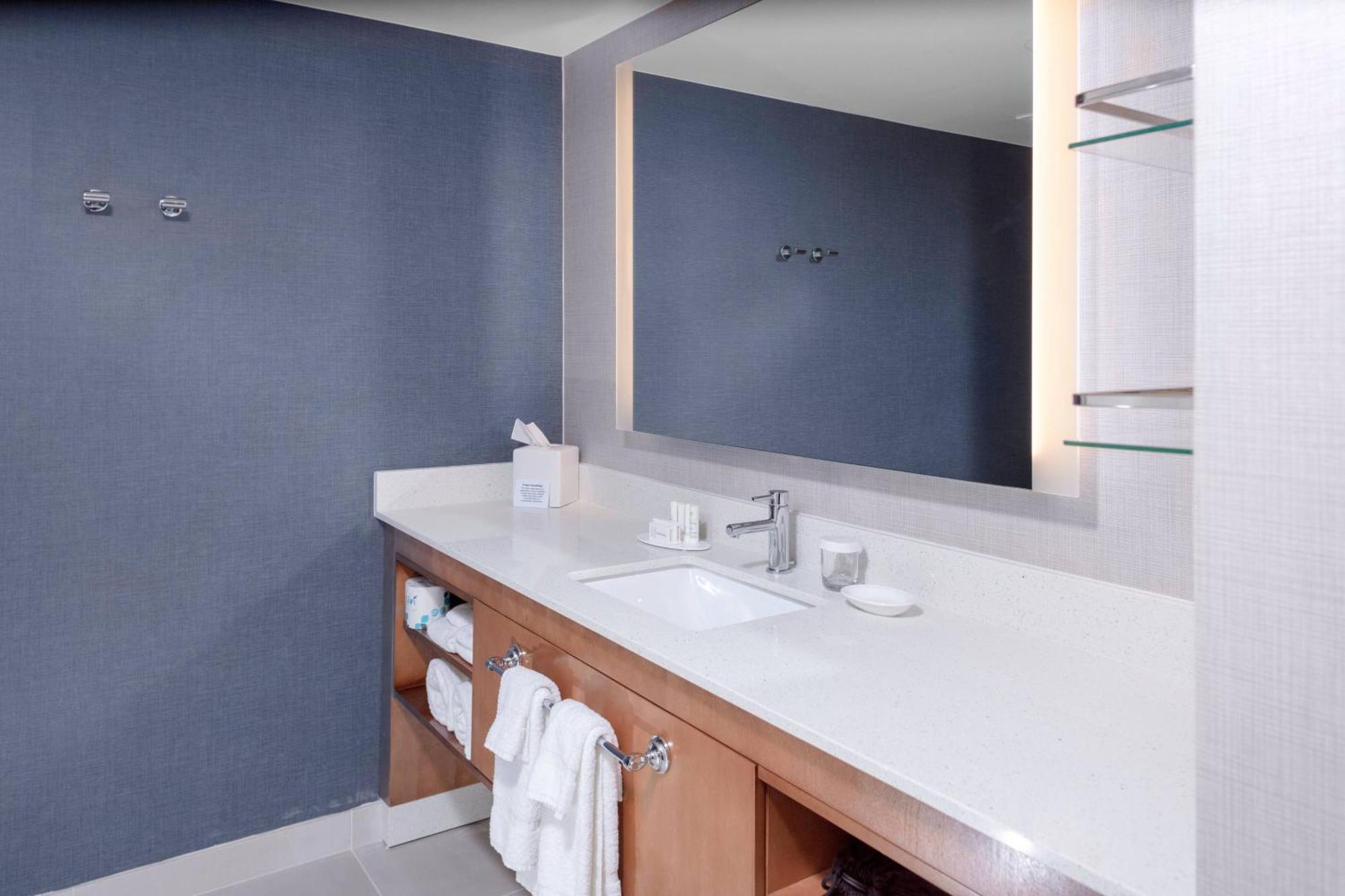1 Bedroom Suite 2 Queen Sofa bed