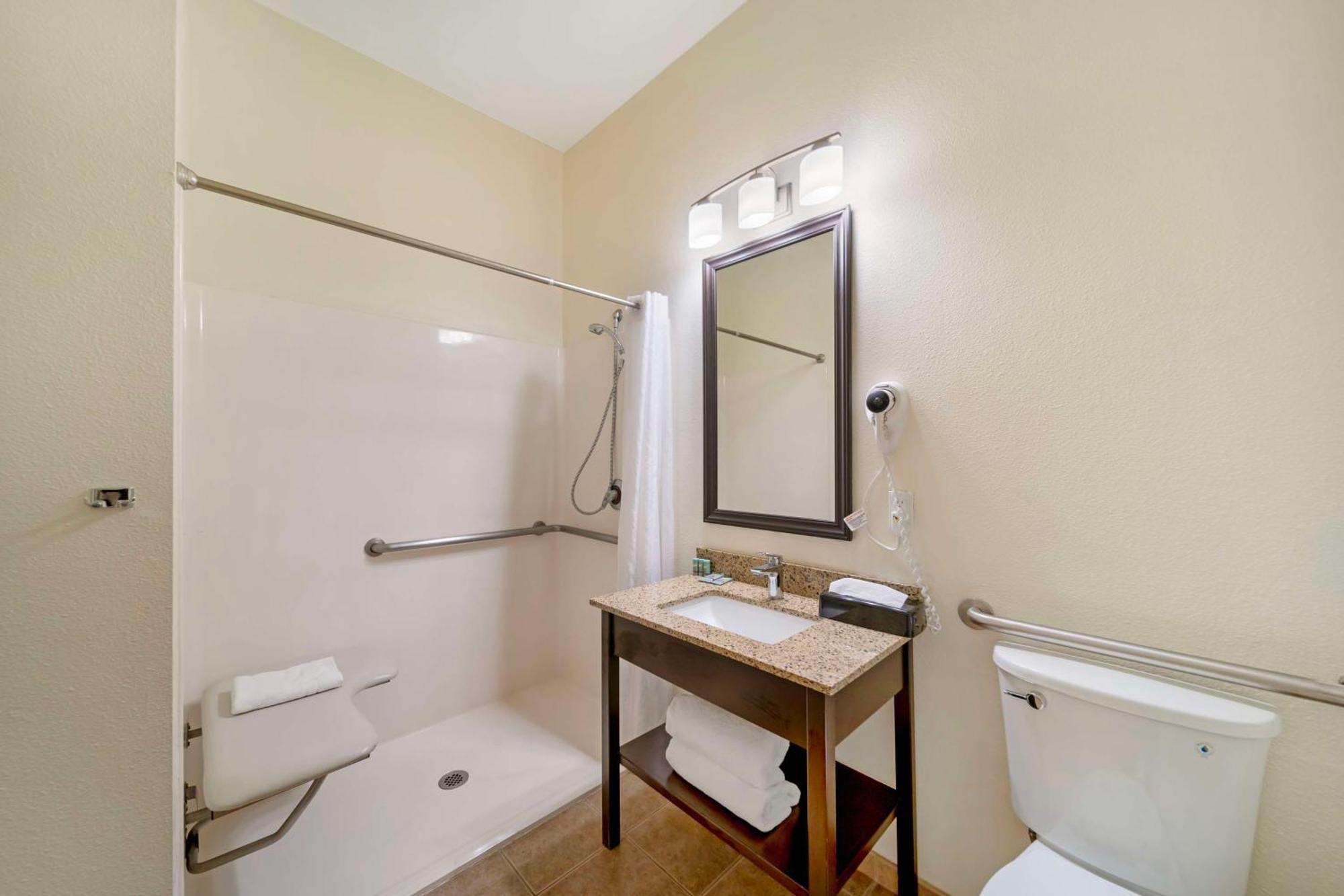King Room with Roll-In Shower - Pet Friendly/Disability Access