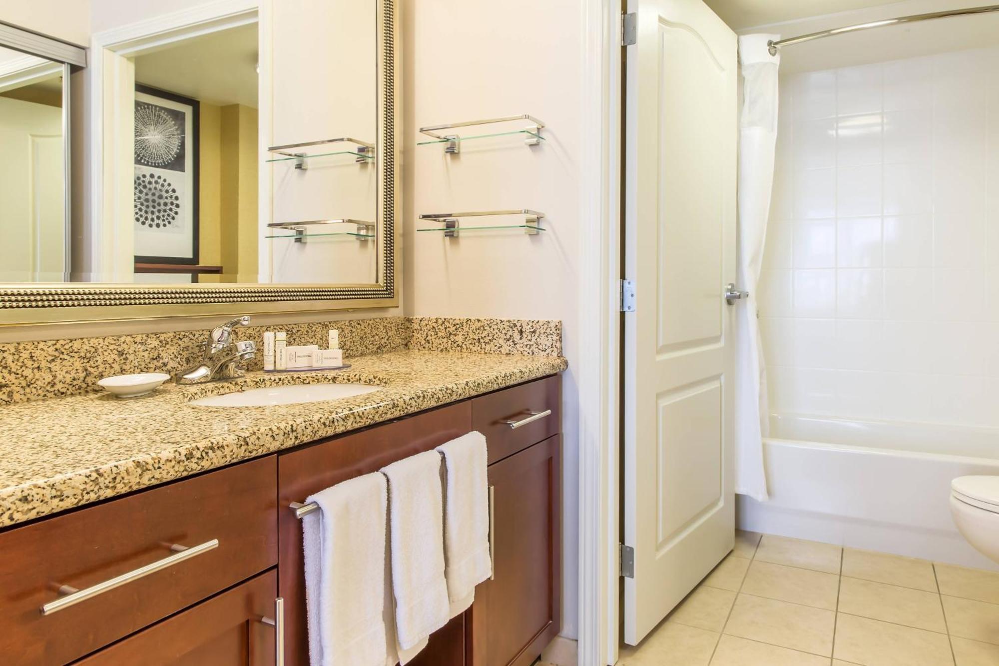 One-Bedroom King Suite with Sofa Bed