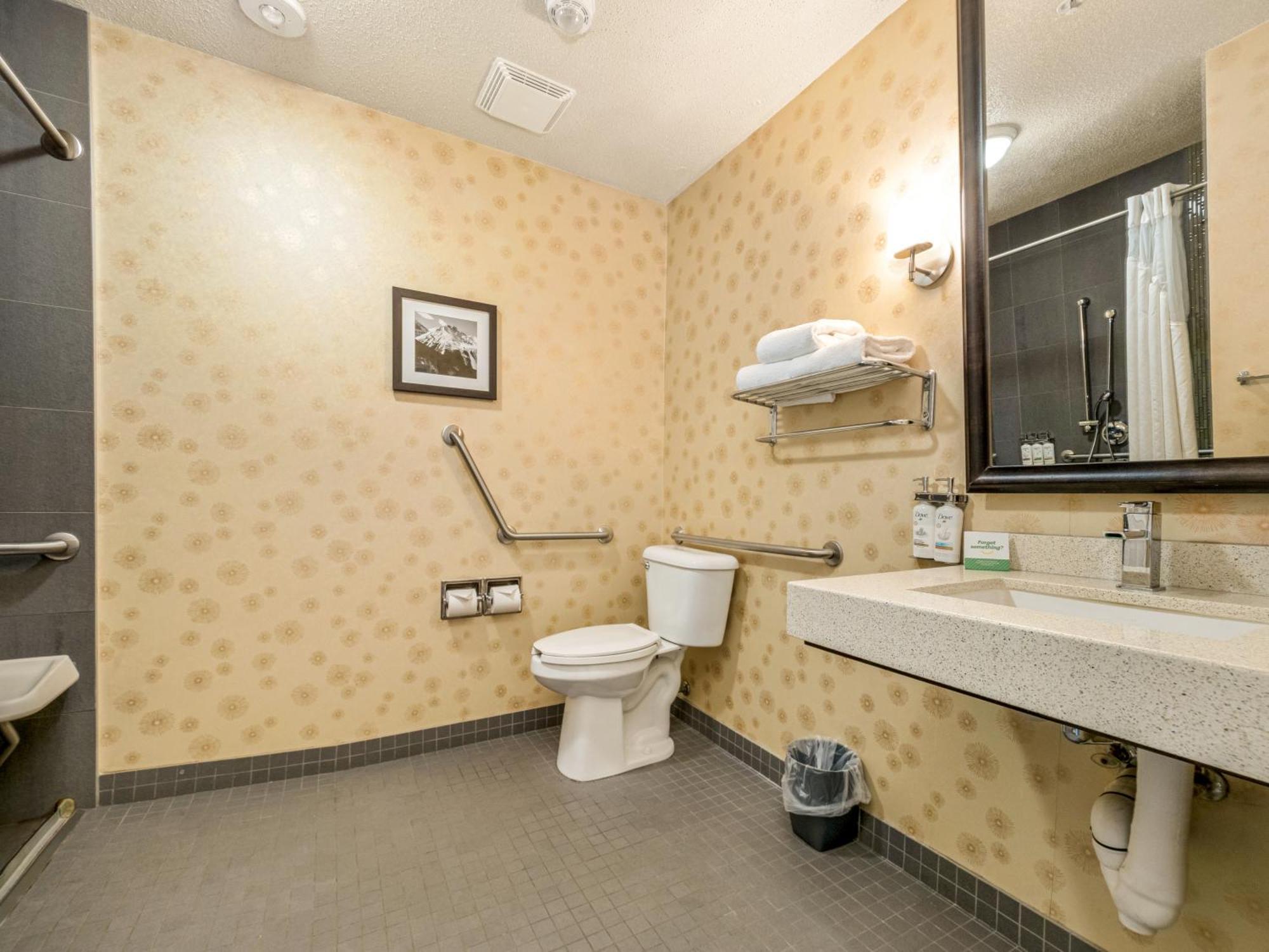 Standard Queen Room with Mobility Accessible Roll-In Shower