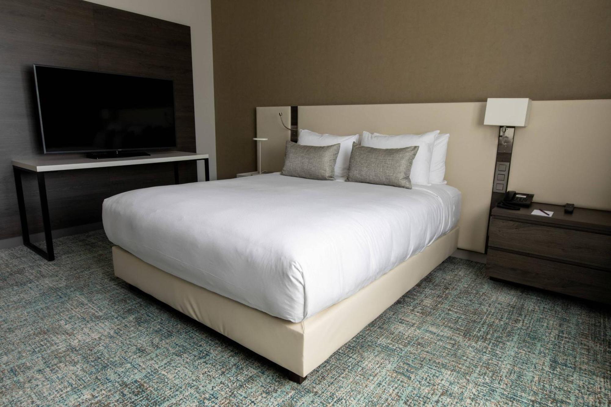 Family 1 Bedroom Larger Suite 1 King Sofa bed